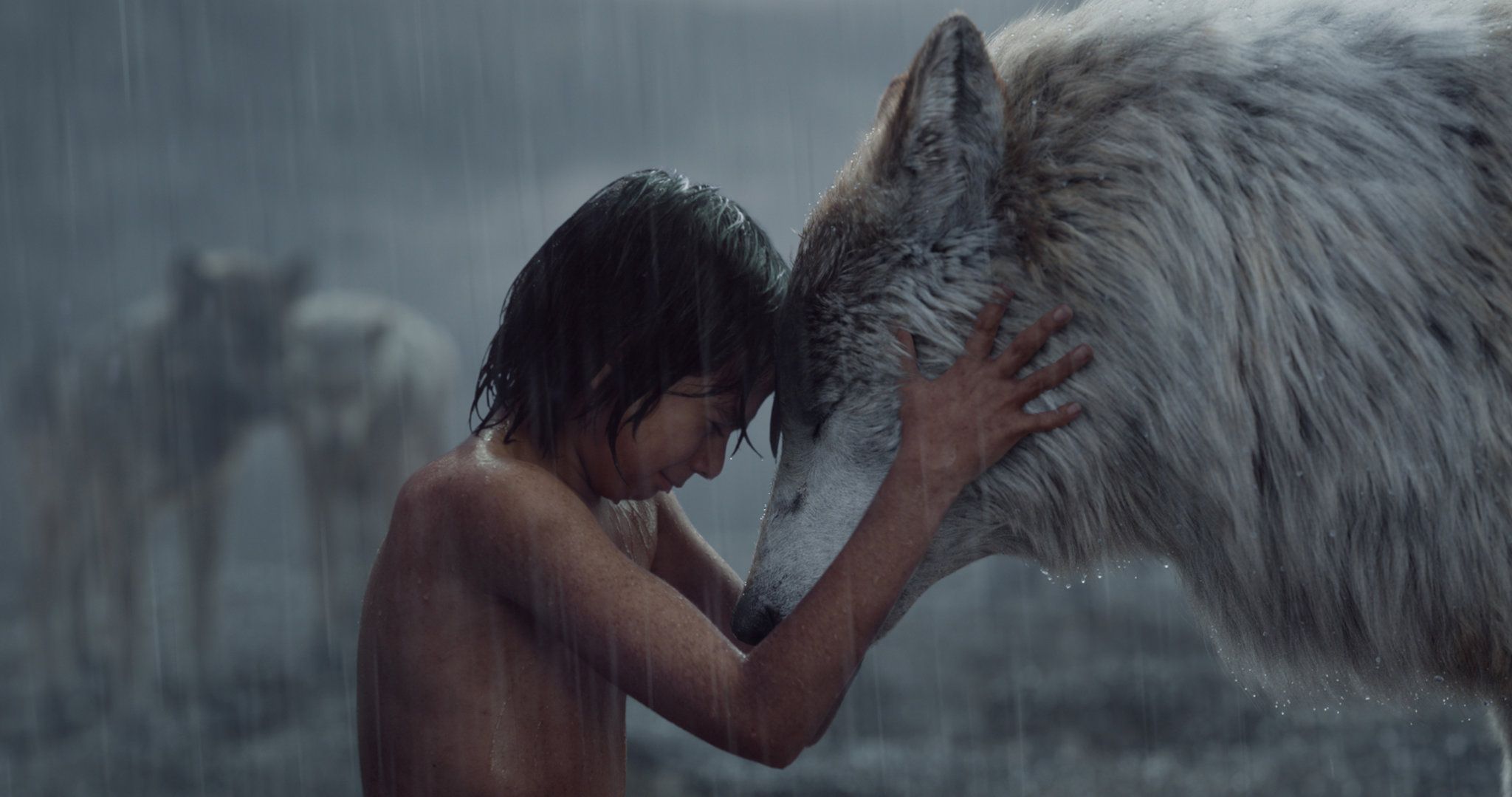 Review: Recycled 'Jungle Book' Puts a Real Boy in a Forest