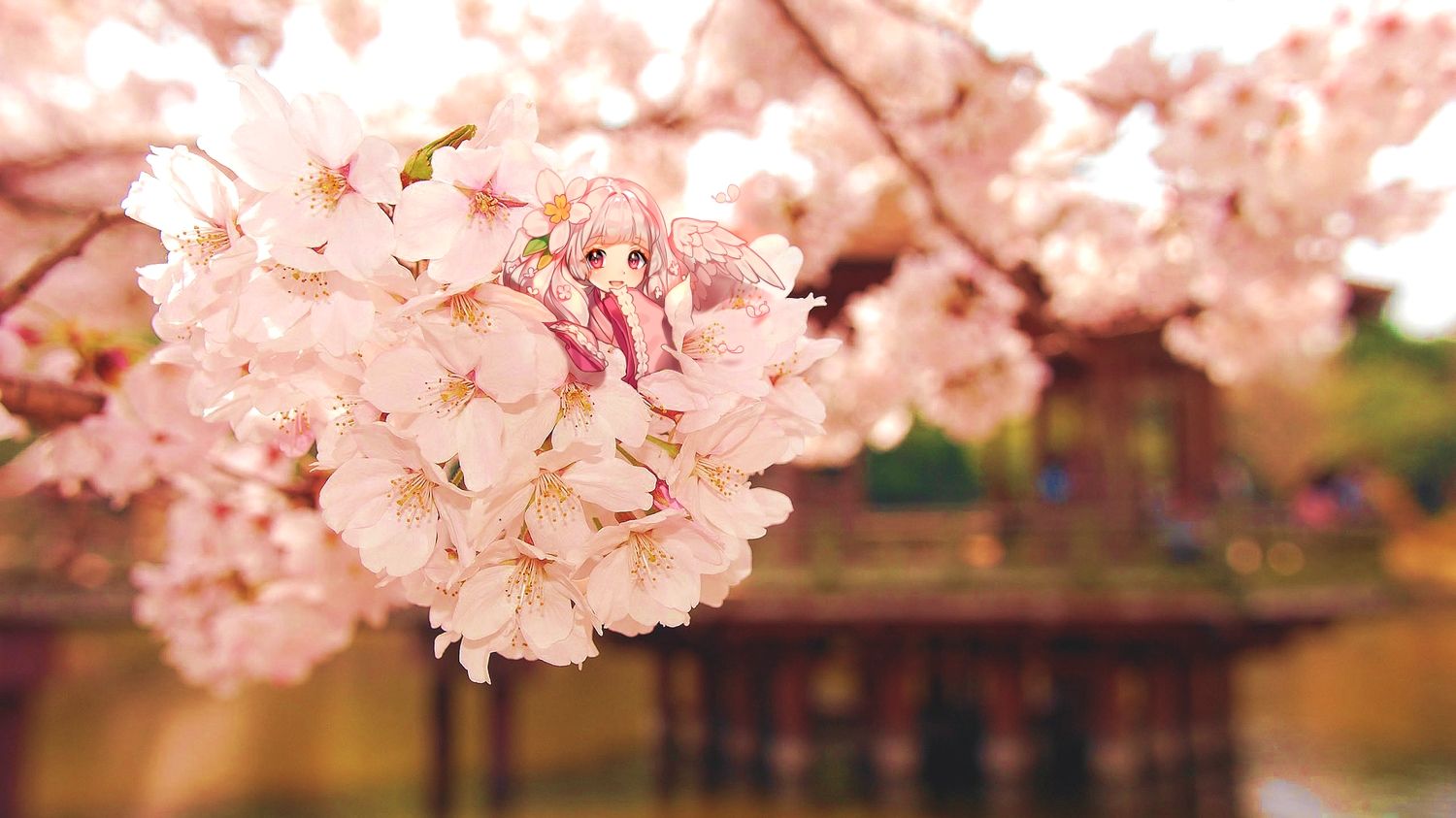 cherry blossoms chibi fairy flowers japanese clothes kimono long