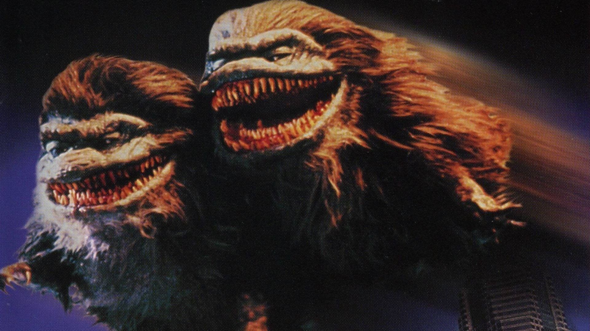 Critters HD Wallpaper and Background Image