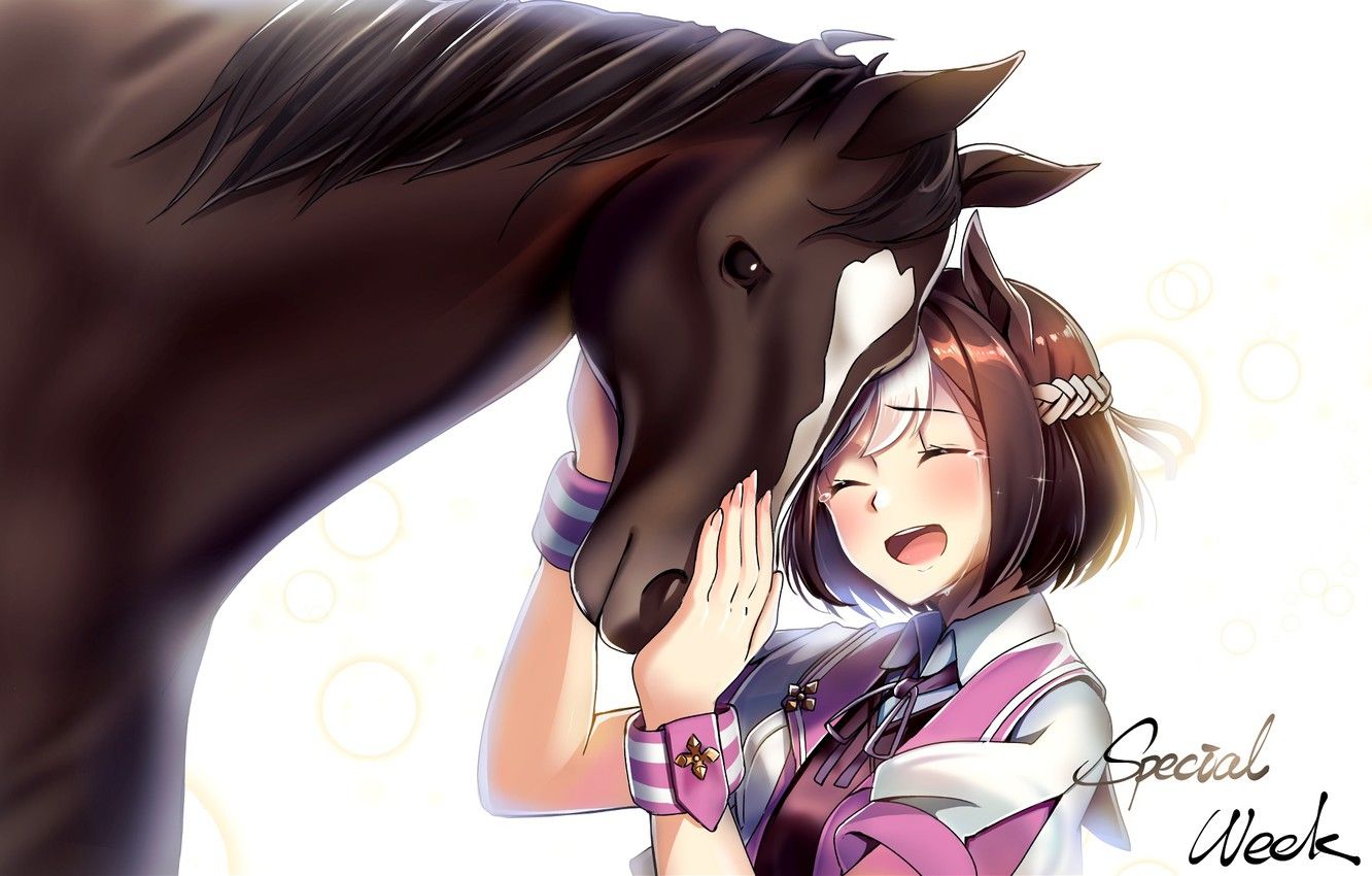 Wallpaper horse, horse, girl, uma musume pretty derby image for desktop, section арт