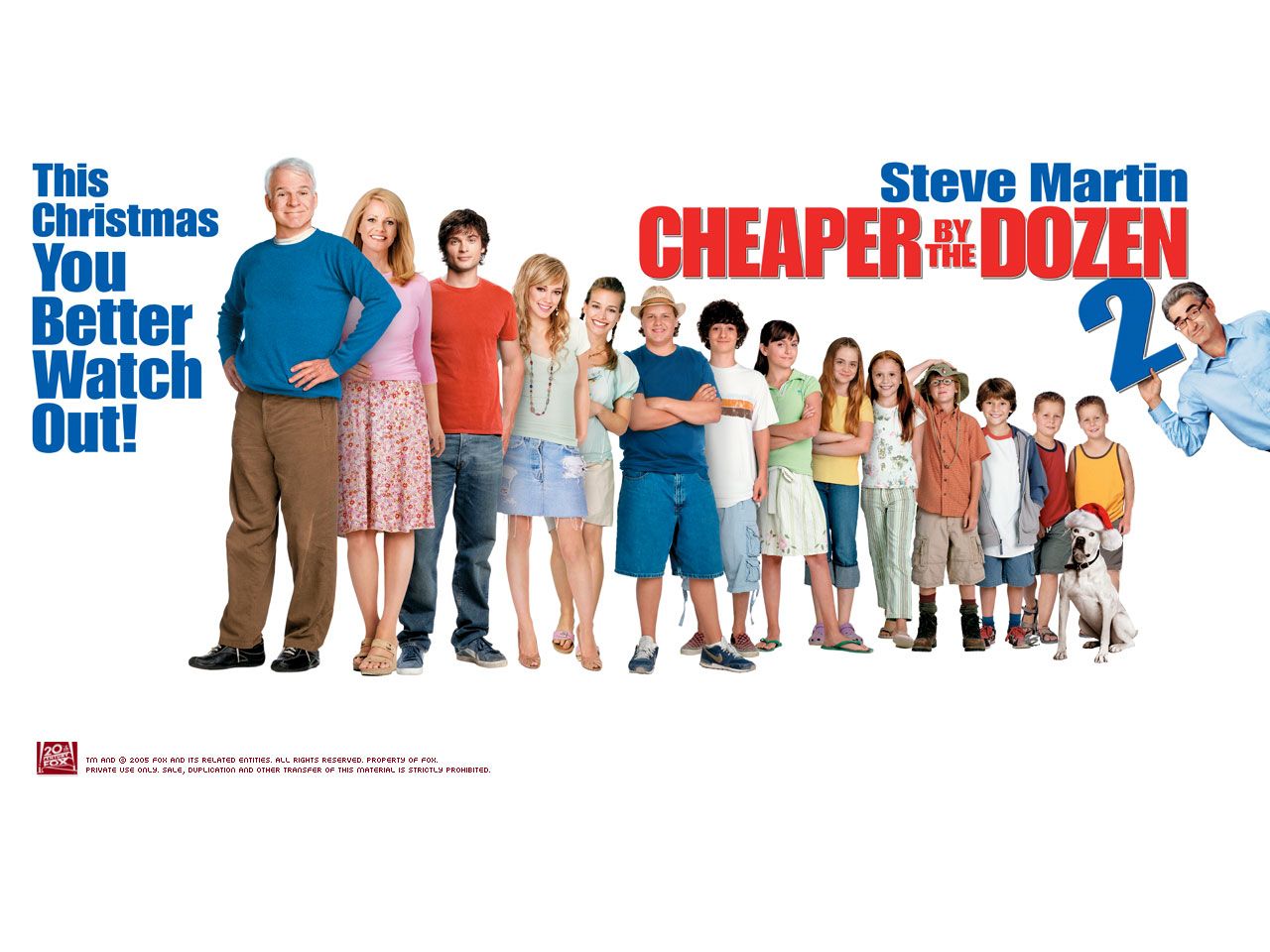 Steve Martin Martin in Cheaper by the Dozen 2 Wallpaper 1