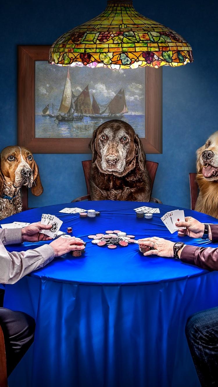 dogs playing poker wallpaper  Dogs playing poker Dog paintings Dog art