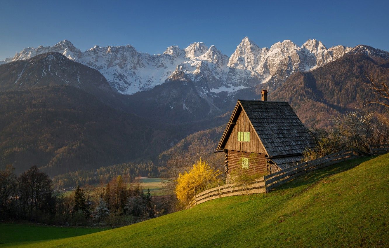 Wallpaper forest, trees, mountains, Spring, Alps, house image