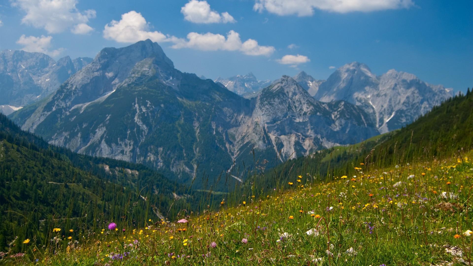 Free download THE MIGHTY ALPS IN SPRING WALLPAPER 111387 HD