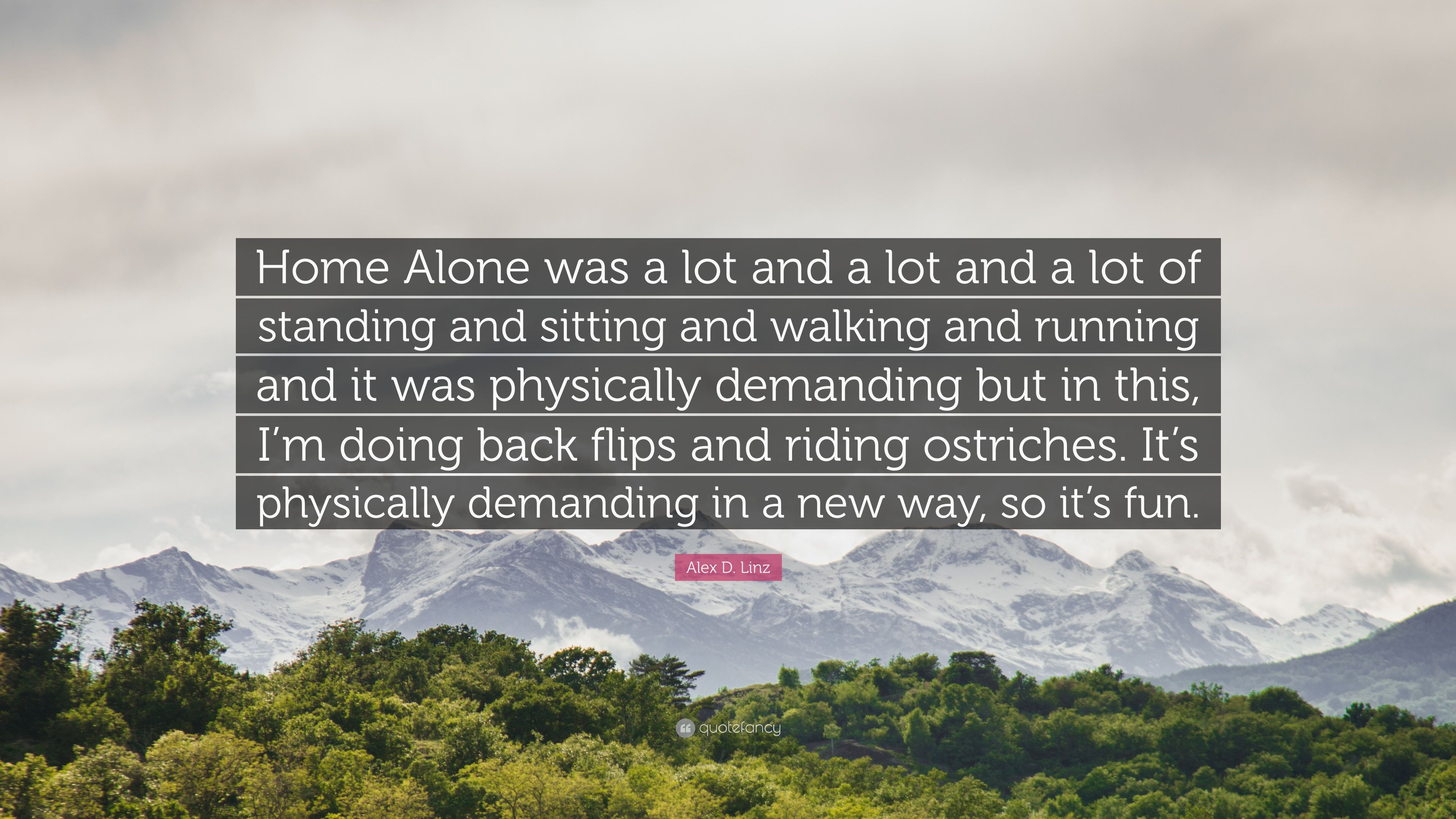 Alex D. Linz Quote: “Home Alone was a lot and a lot and a lot