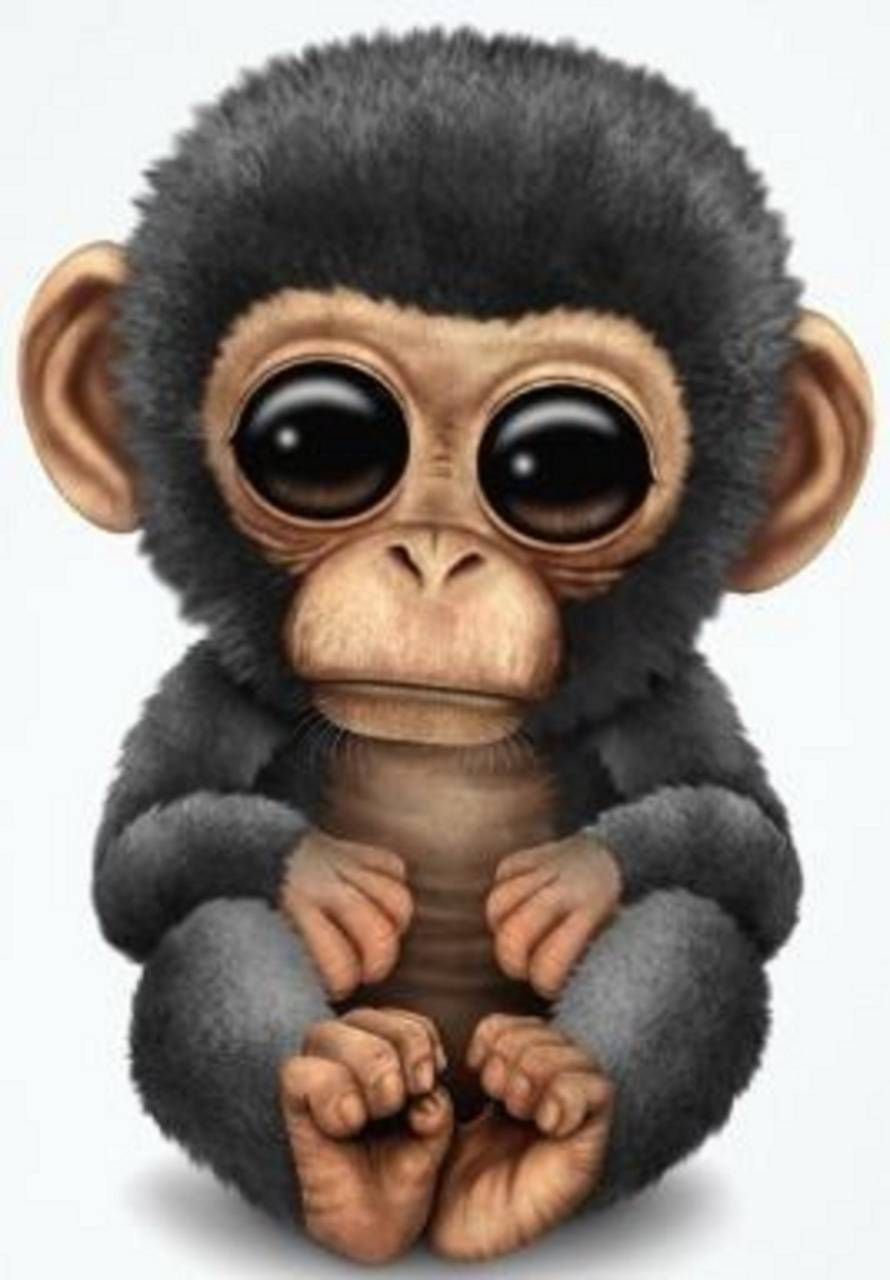 Download Monkey Wallpaper by mirapav now. Browse millions of popular monkey Wallpaper. Cute animal drawings, Monkey wallpaper, Cute monkey