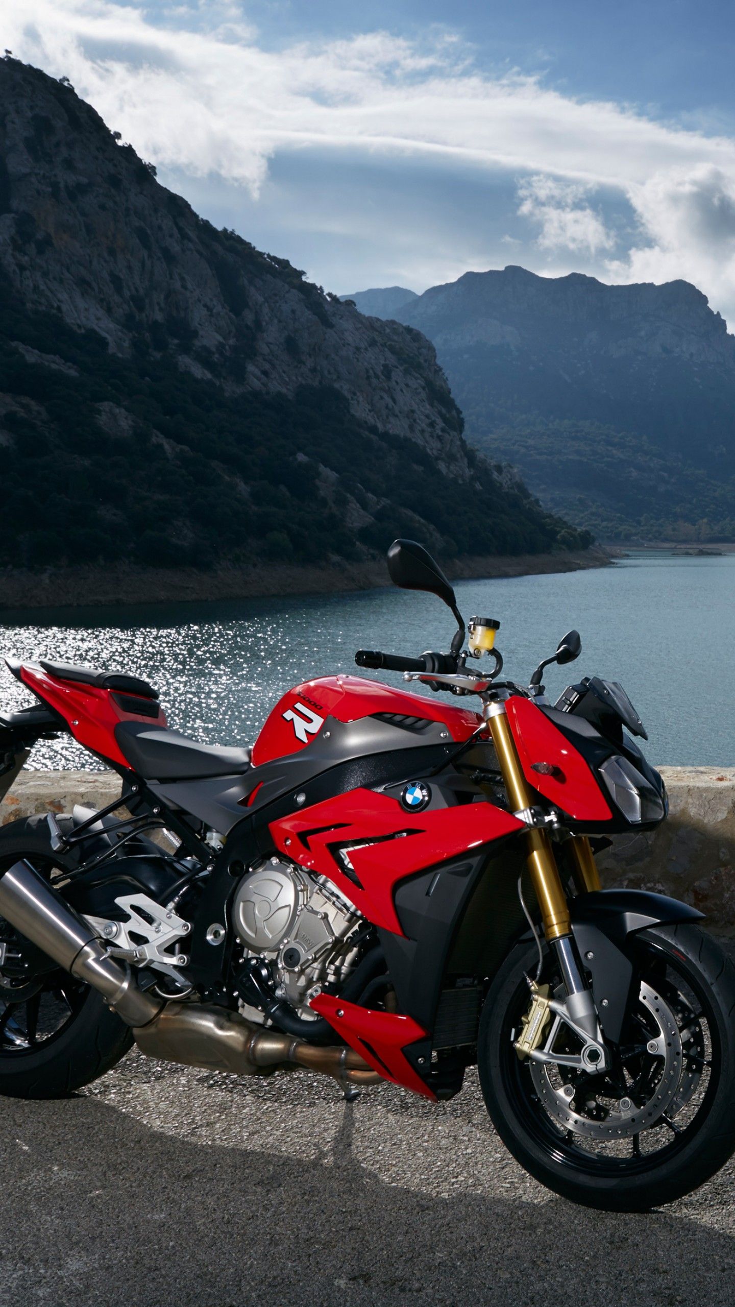 BMW s1000r