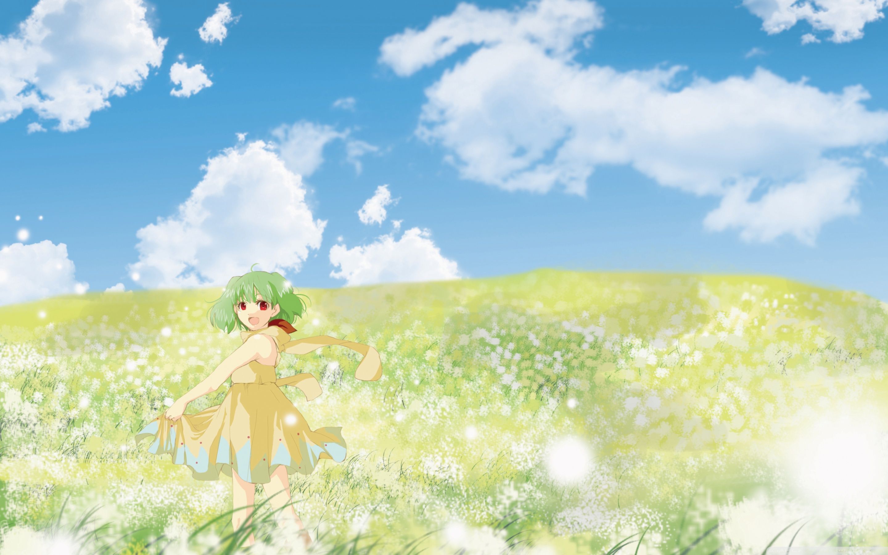 Anime Girl In Flower Field Ultra HD Desktop Background Wallpaper