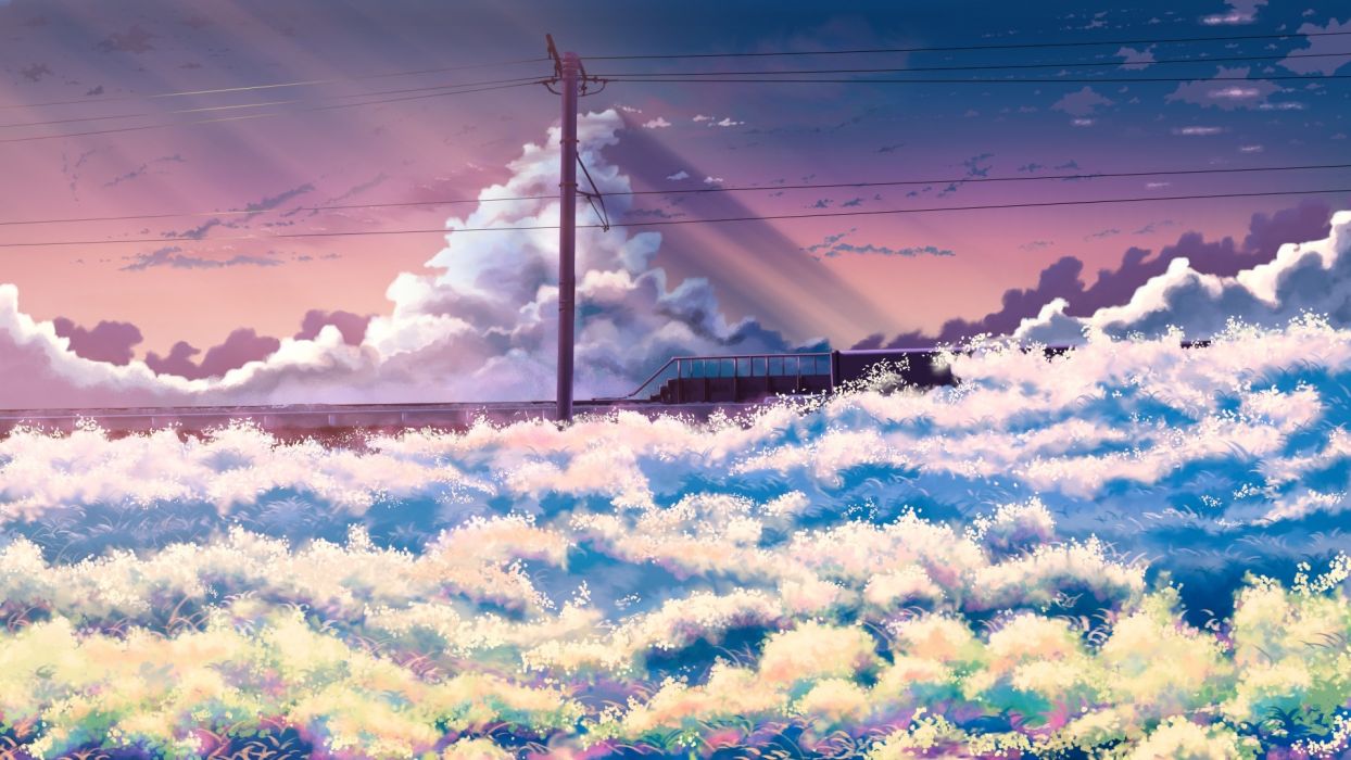 Anime Landscape Flowers Field Clouds Sky wallpaperx1080