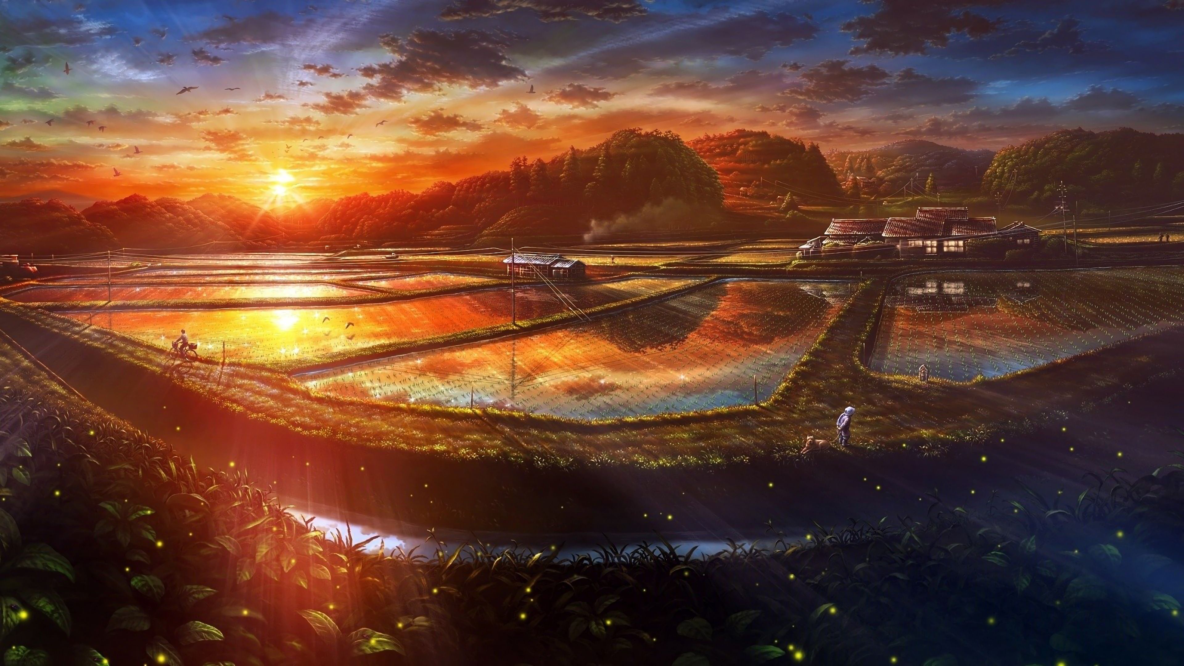Sunset Paddy Field Nature Scenery Landscape Anime 4K Wallpaper