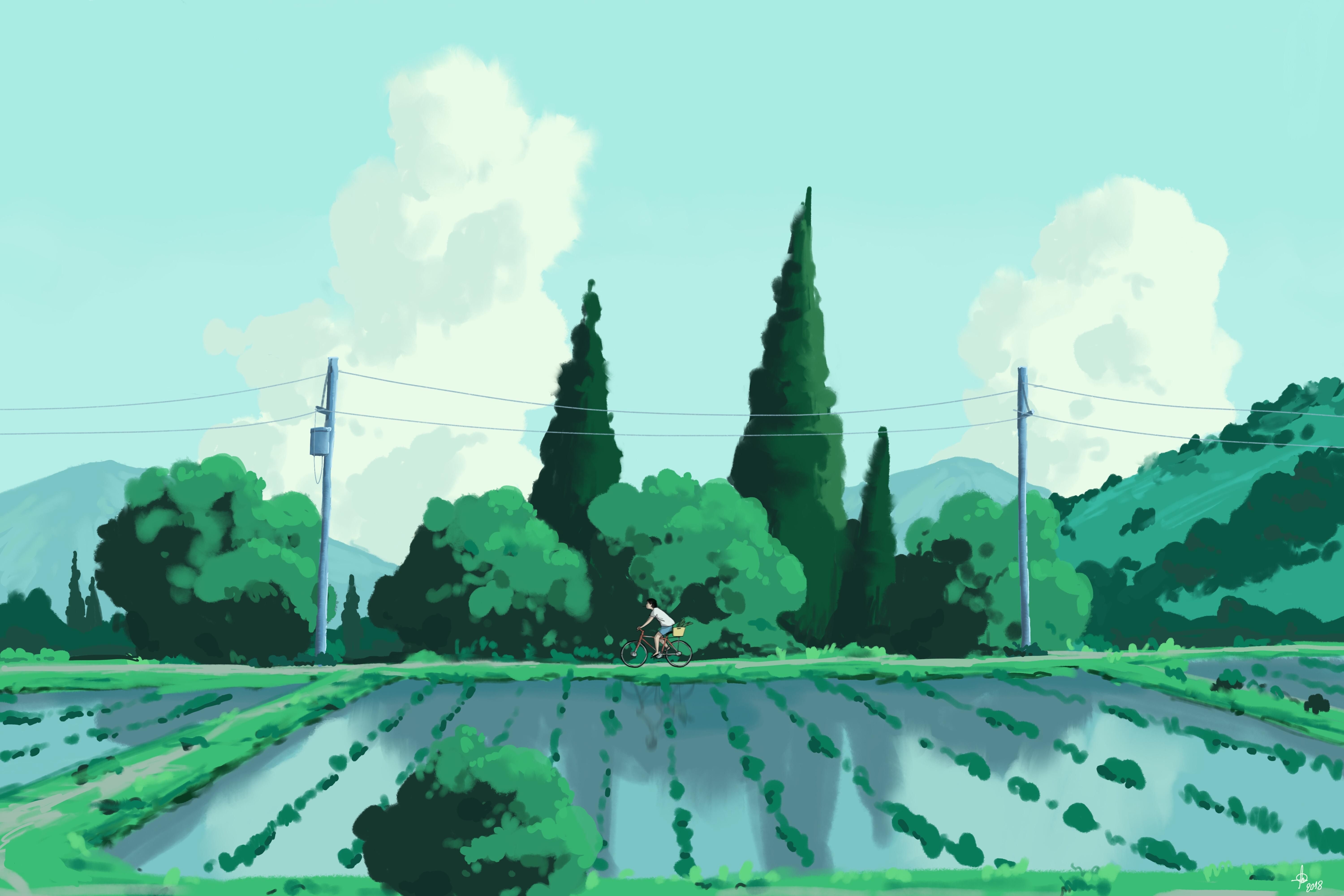 Anime Field Background