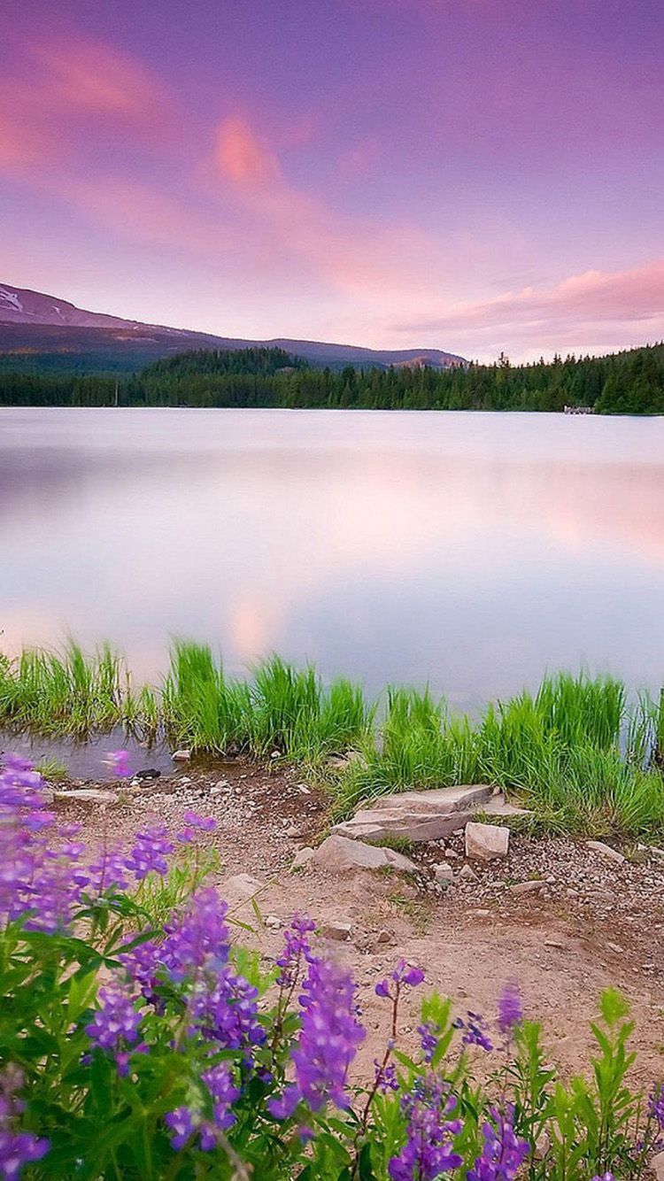Scenic lake and flowers. Hello spring wallpaper, Spring wallpaper