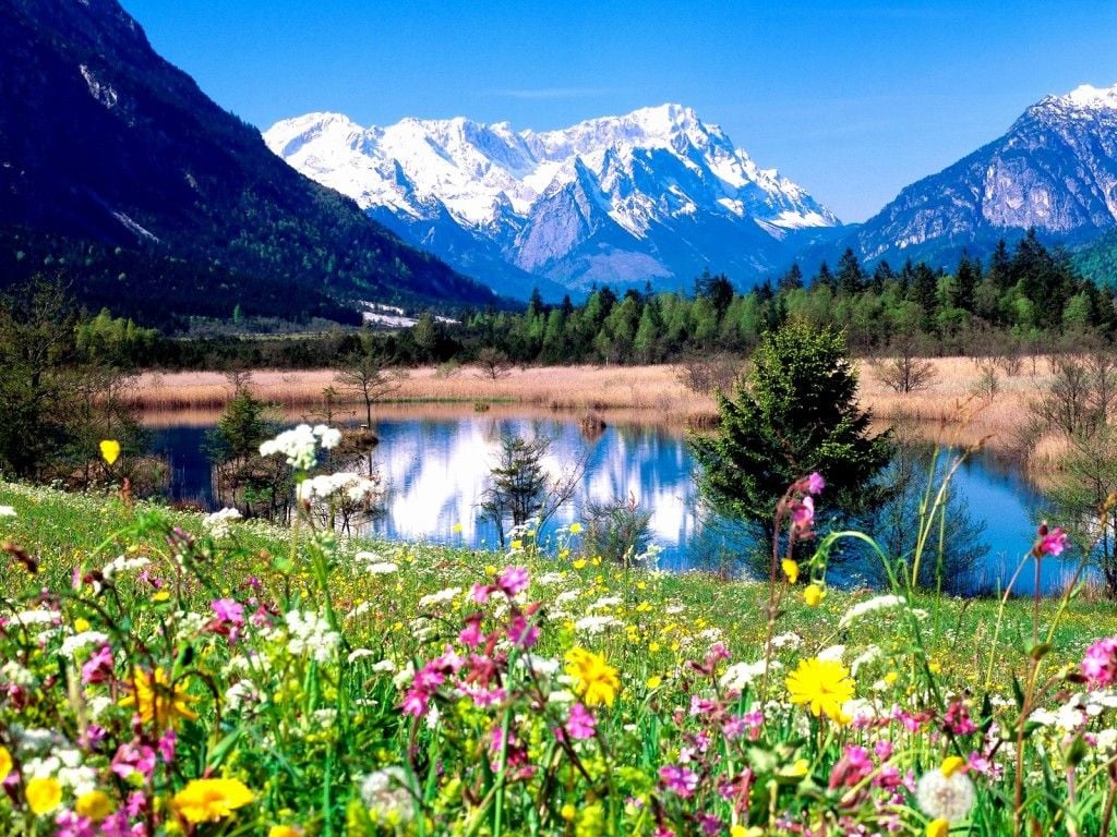 natural spring landscape with lake widescreen high definition