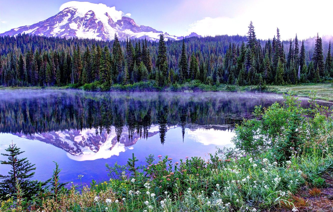Wallpaper the sky, snow, trees, flowers, mountains, lake, spruce