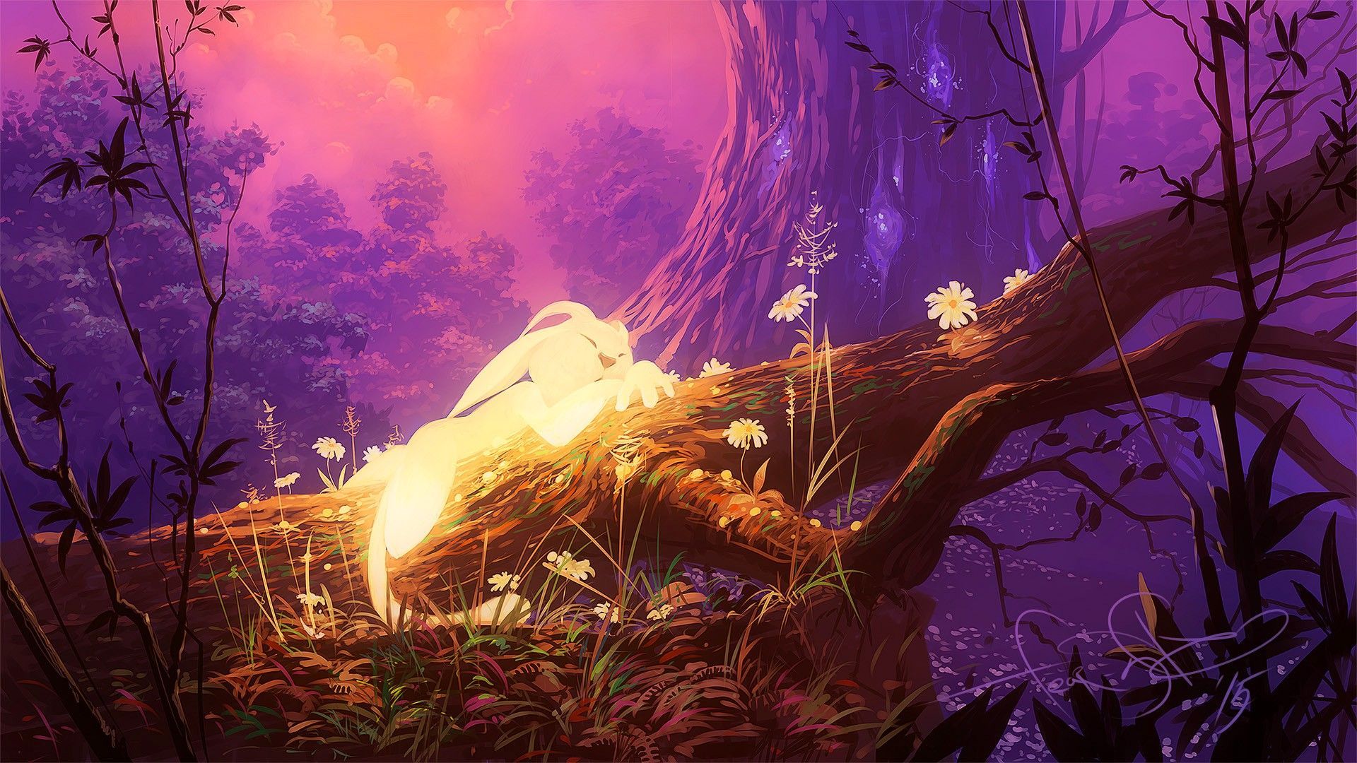 Ori and the blind forest (1920x1080). Funny paintings, Forest