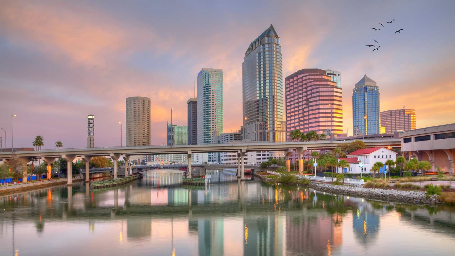 793901 Tampa USA Houses Rivers Bridges  Rare Gallery HD Wallpapers
