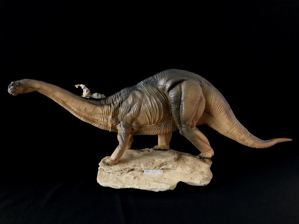 Diplodocus Apatosaurus Kin Amargasaurus Sauropod Dinosaur Safari