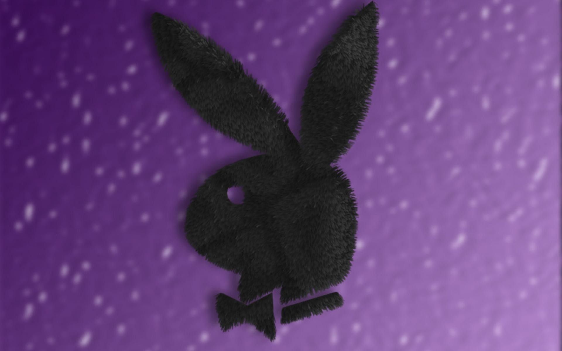 Playboy Logo Aesthetic Wallpapers - Wallpaper Cave