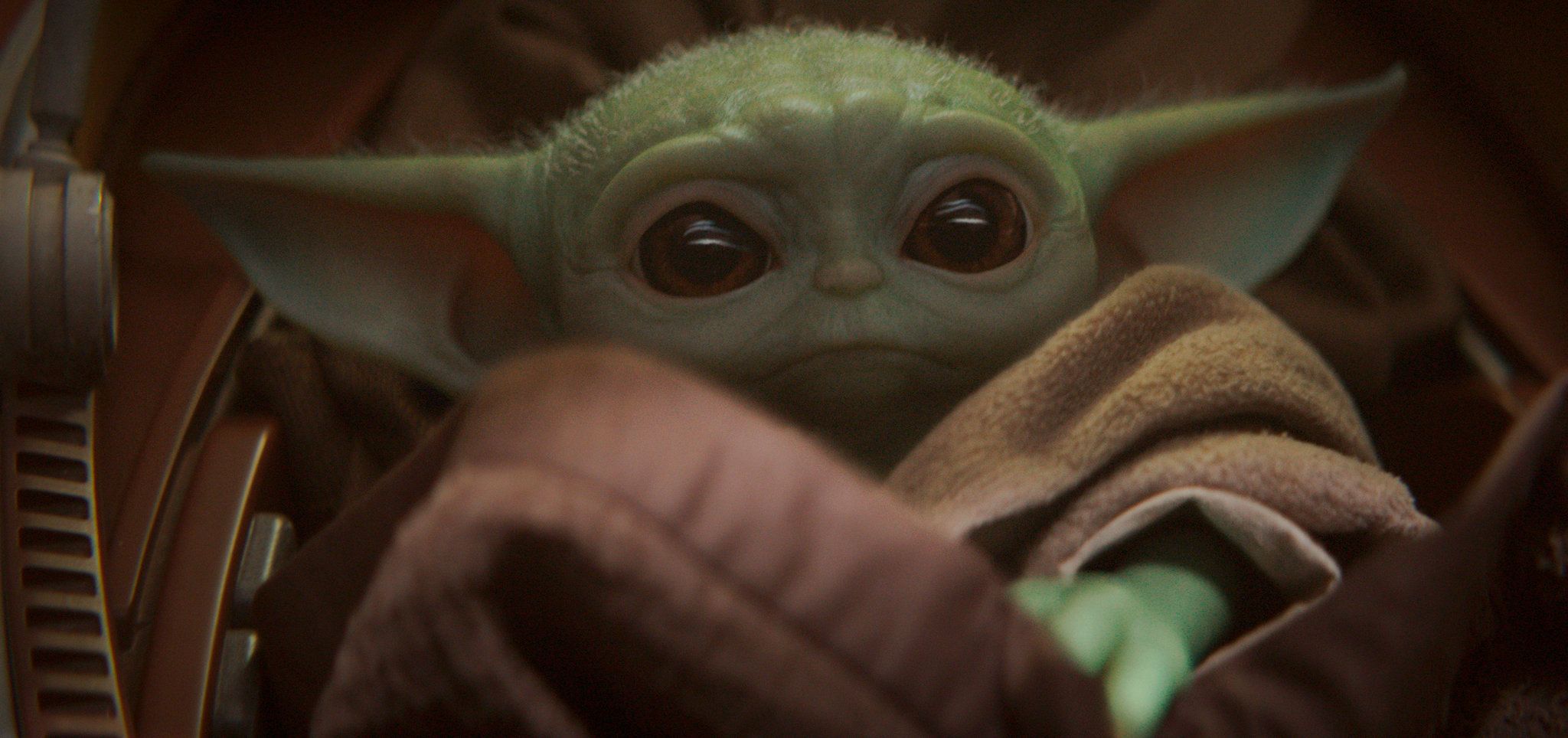 What Baby Yoda, O.K. Boomer and Hemp Farming Told Us About
