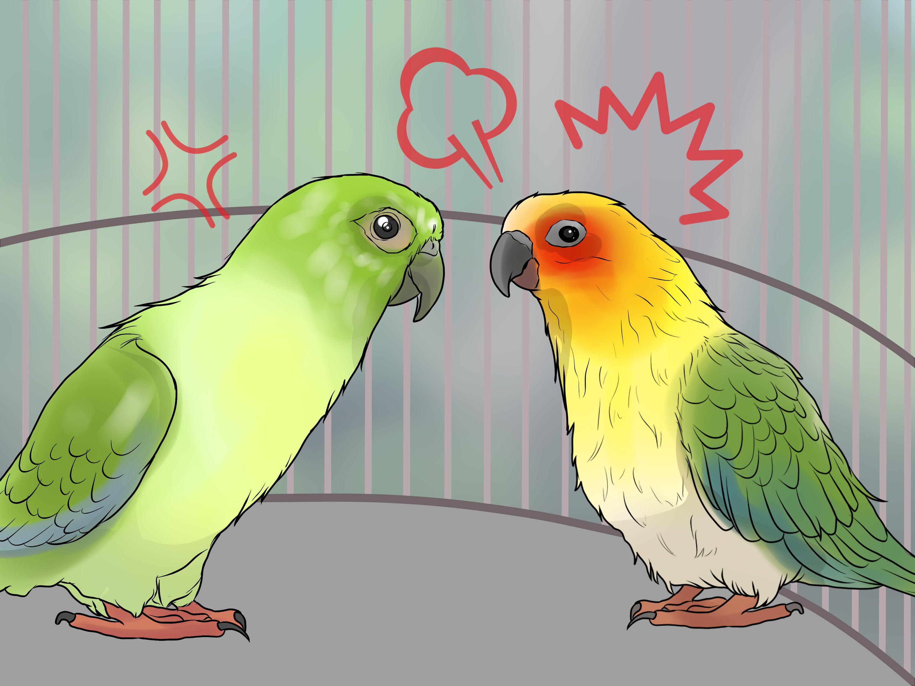 Ways to Bond a Pair of Conures