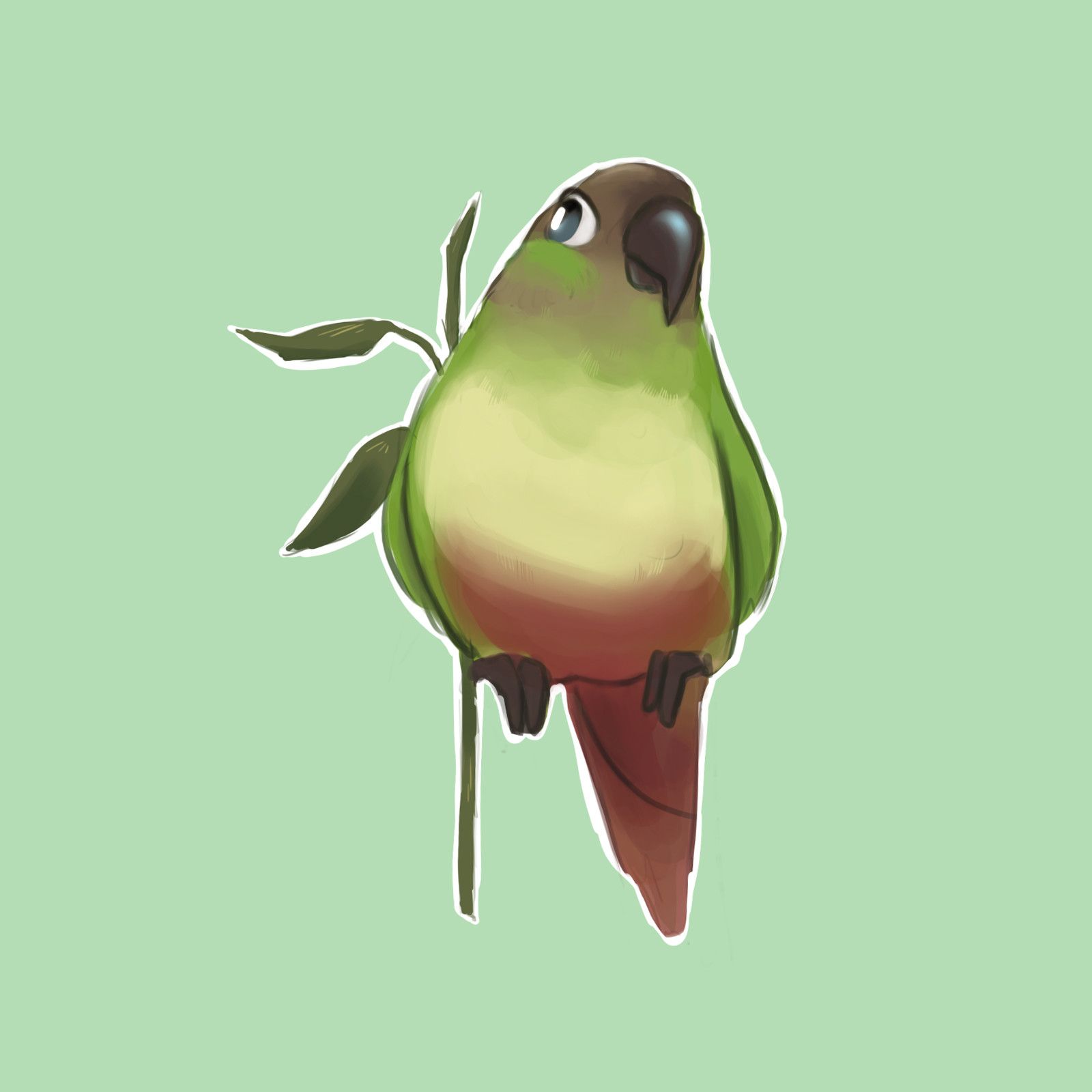 Green cheek conures, Felicia Kiessling