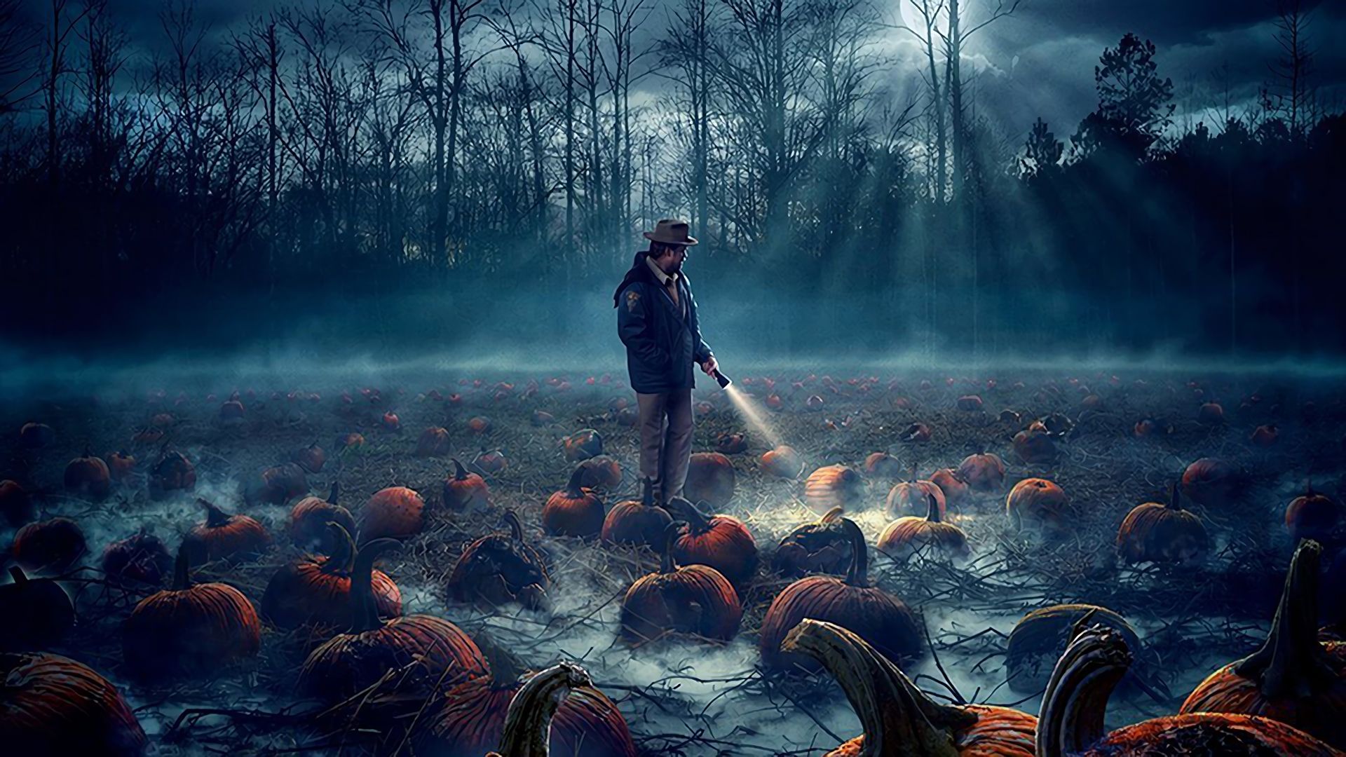 stranger things 2 wallpaper stranger things 2 pumpkin field 162