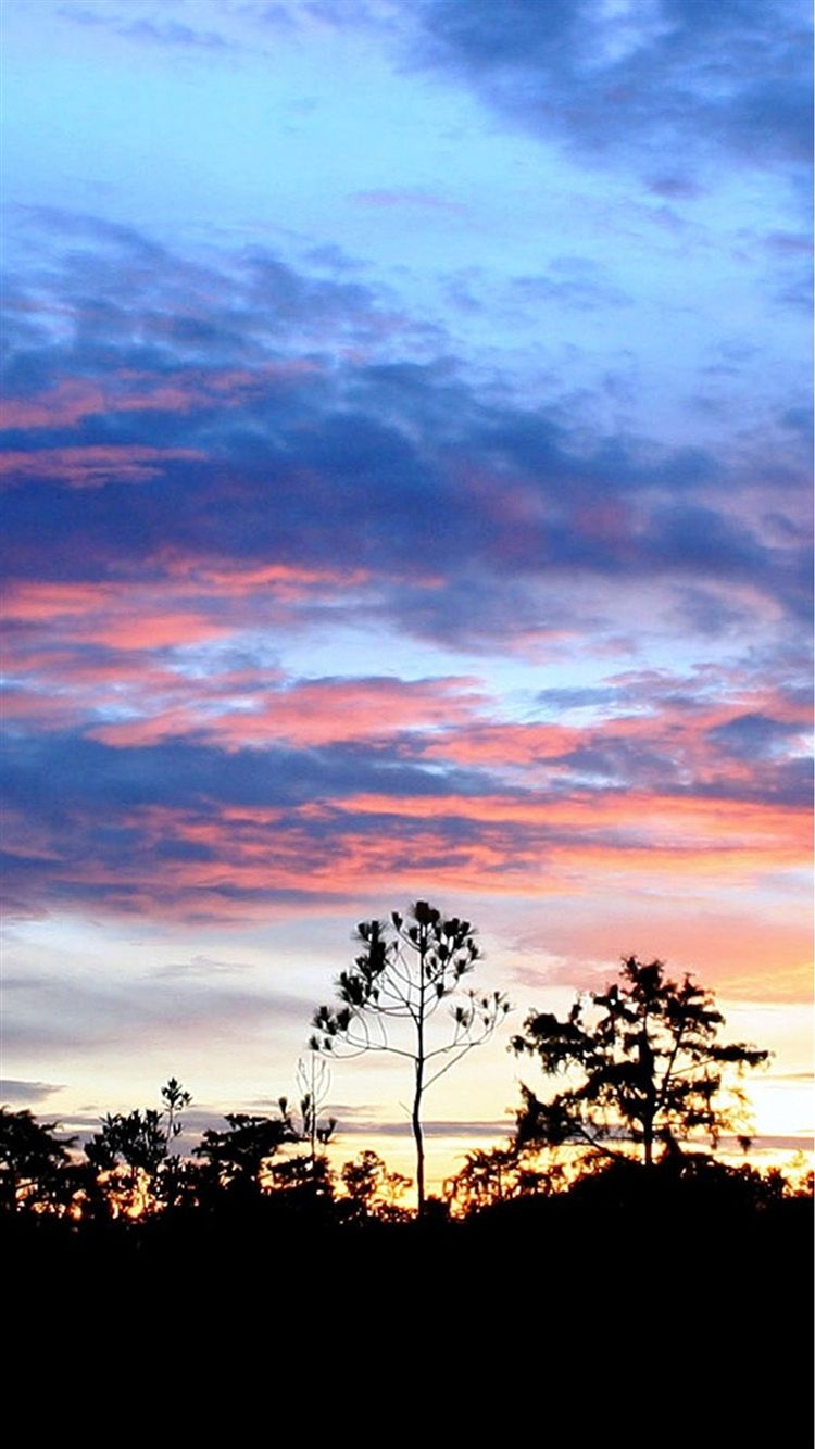 Stunning Sunset Landscape iPhone 8 Wallpaper Free Download