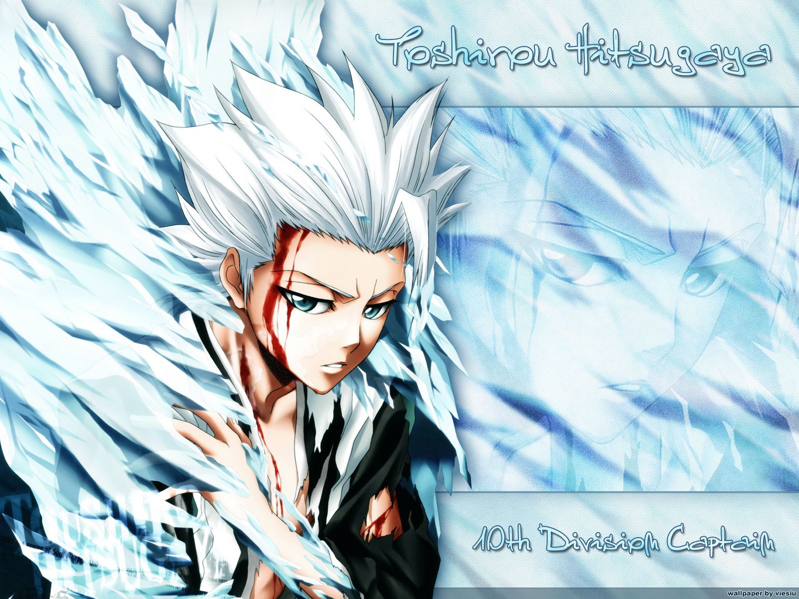 Anime Tōshirō Hitsugaya Wallpapers Wallpaper Cave