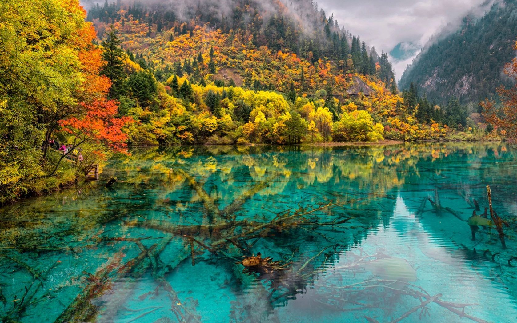 Crystal Lake China Jiuzhaigou National Park HD Wallpaper 1920x1080
