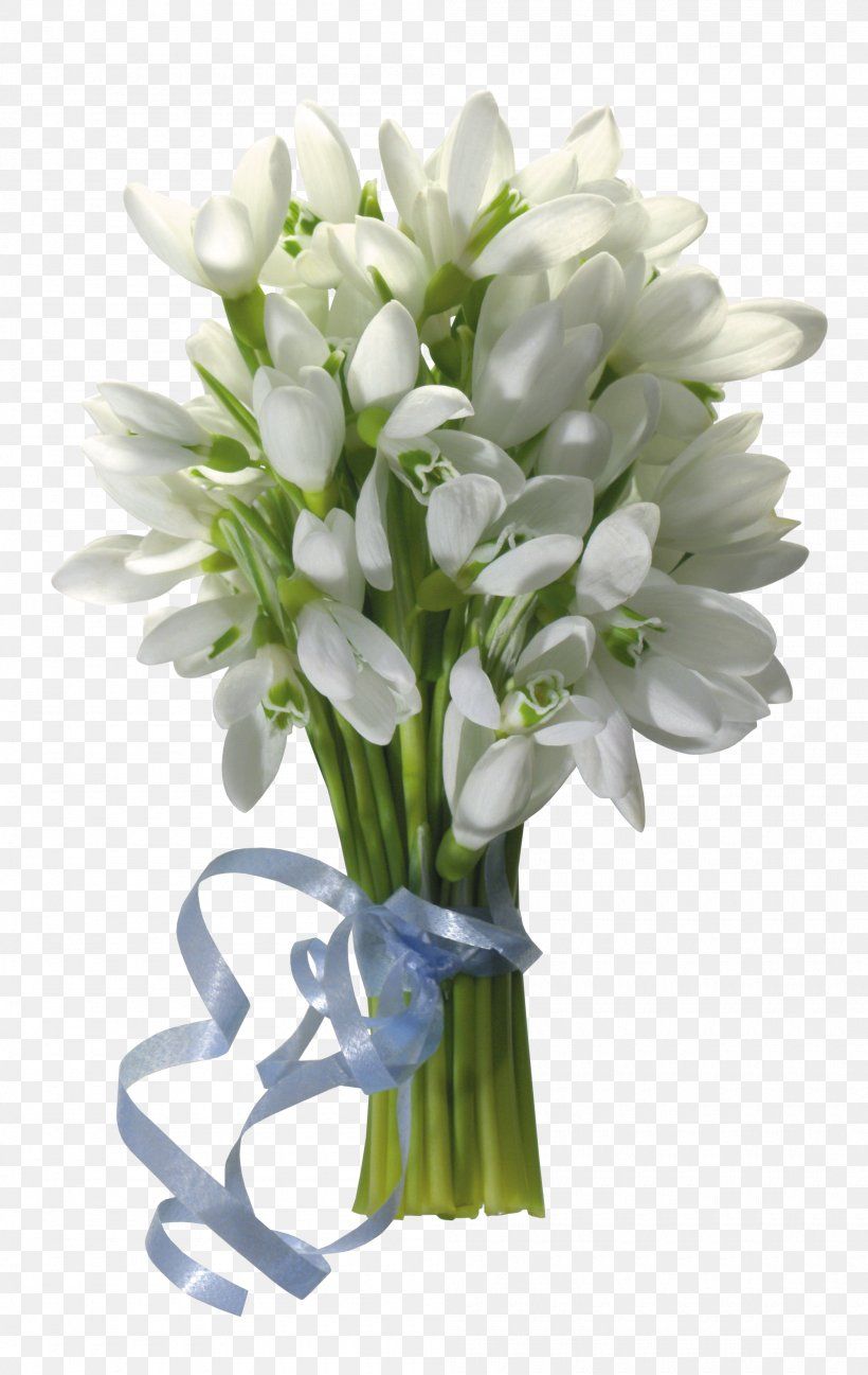 Snowdrop Flower Bouquet Desktop Wallpaper, PNG, 2000x3164px
