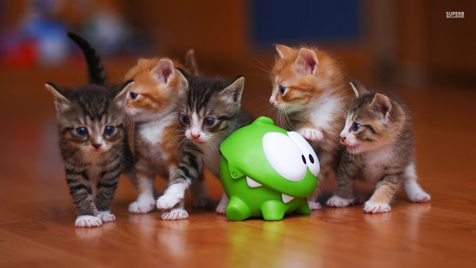 Om Nom and. Kittens! The Rope Wallpaper