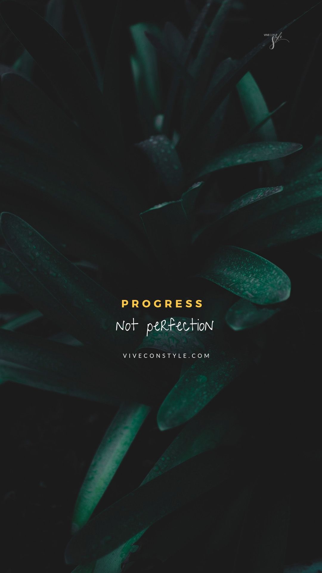Progress not perfection. VIVE CON STYLE