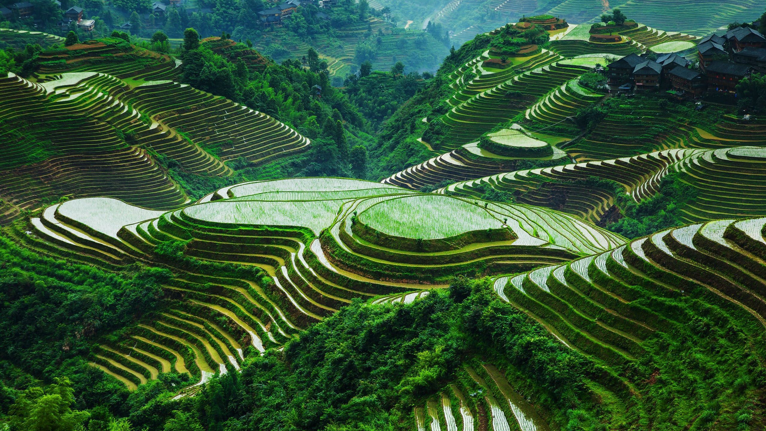 Guangxi Longsheng Rice Terraces Beautiful Landscape China