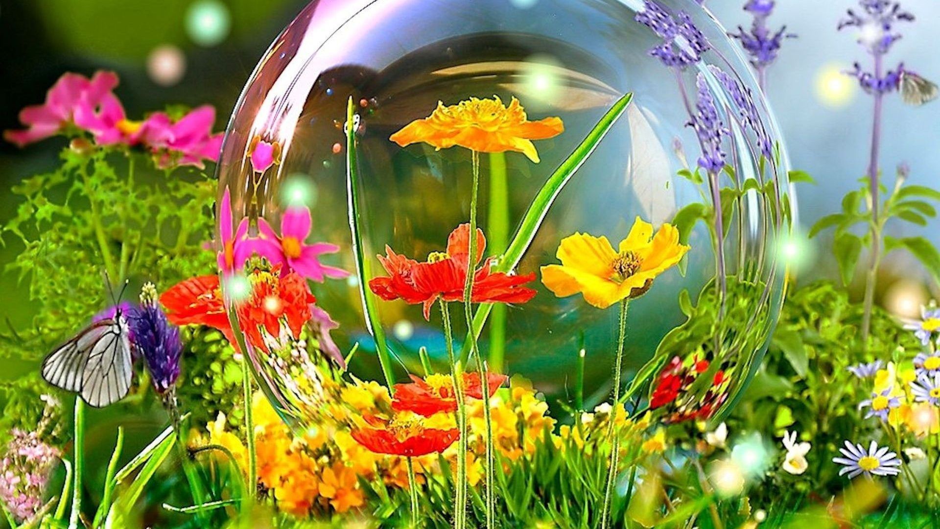 XiNature.com Flowers Colorful Spring Bubble Butterfly