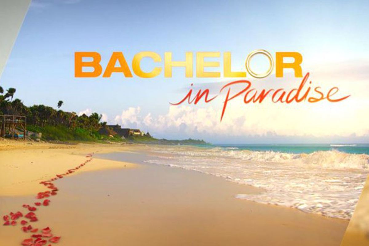 Bachelor 2020 Wallpapers Wallpaper Cave   Wp5699689 