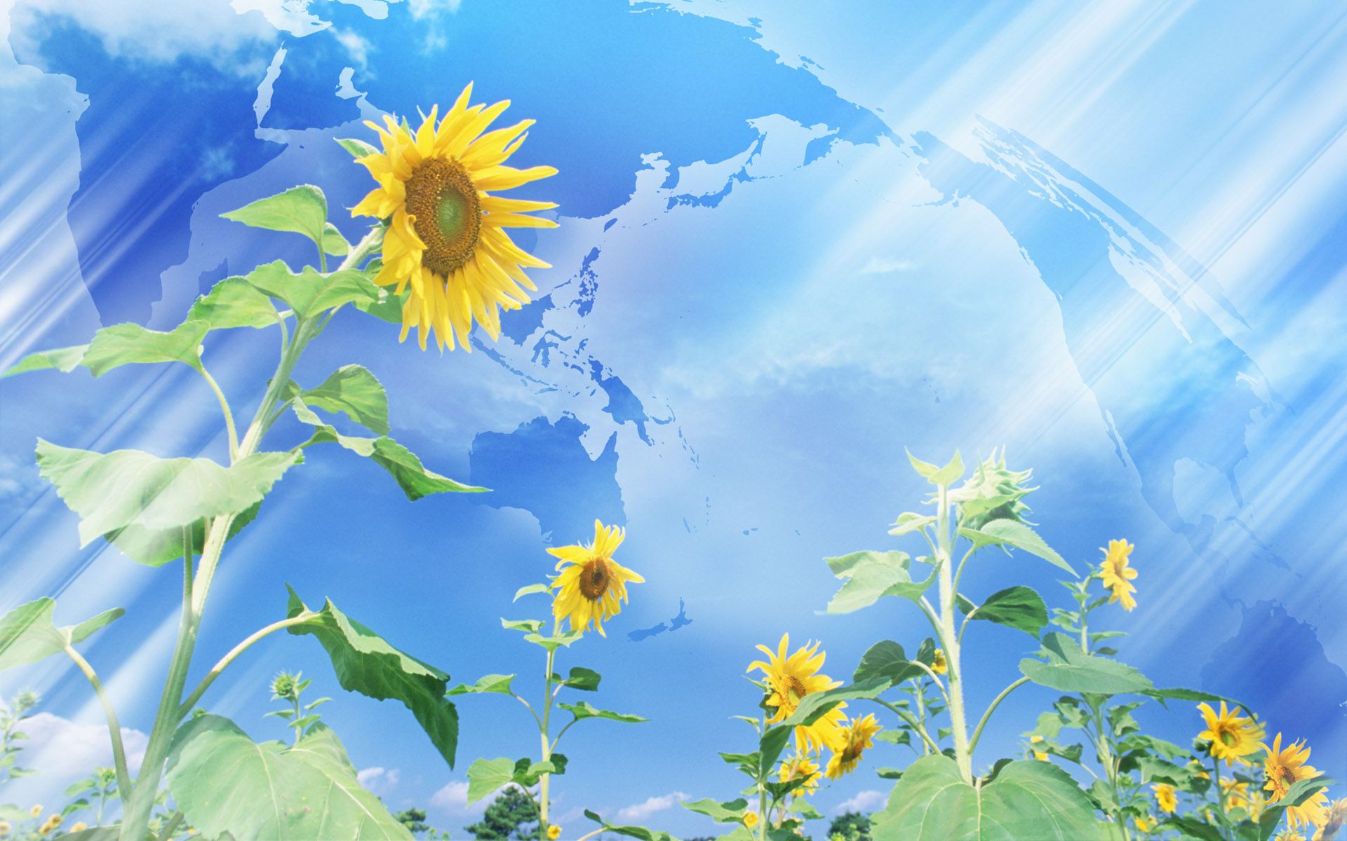 Anime Girl in Sunflowers Field – Diamond Painting Bliss