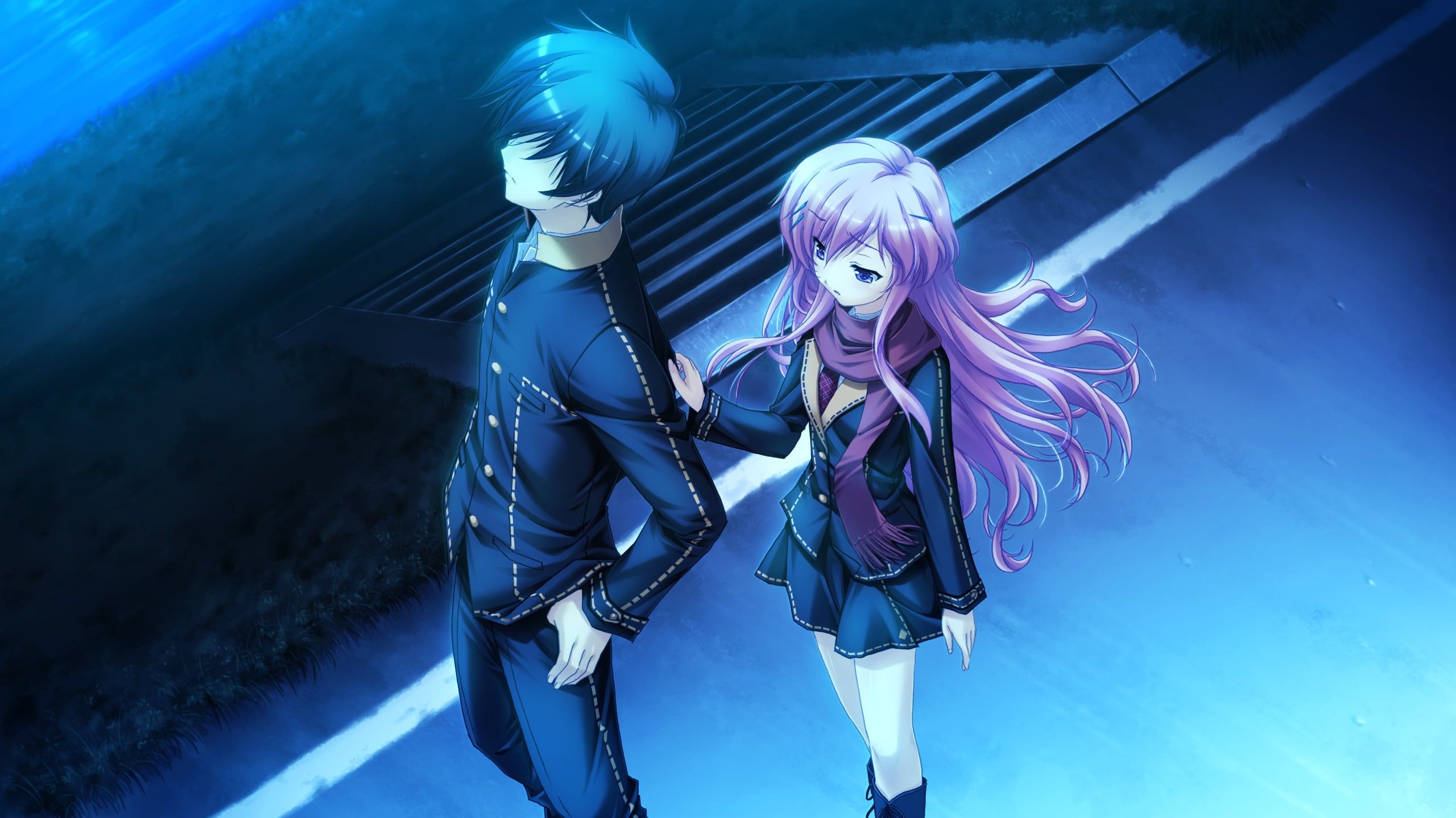 Blue haired male and pink haired female anime character HD