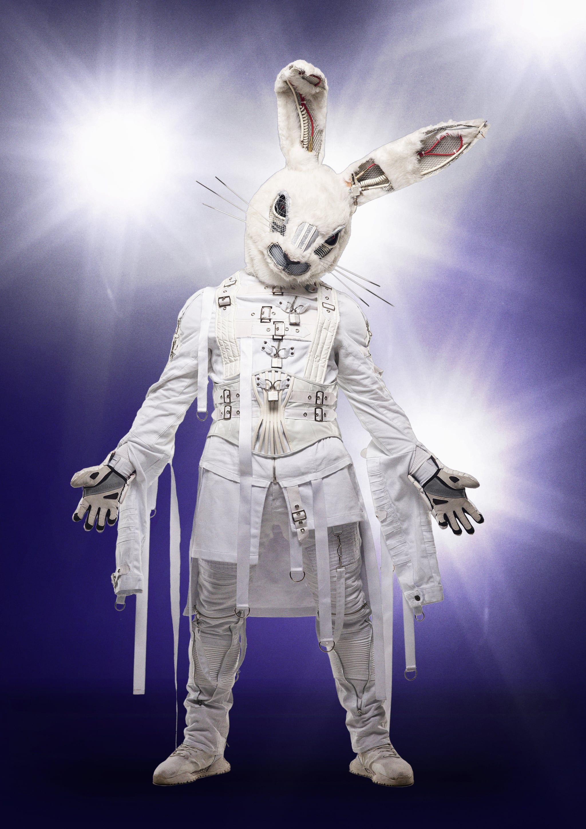 Who Is the Rabbit on The Masked Singer?. The Masked Singer: A