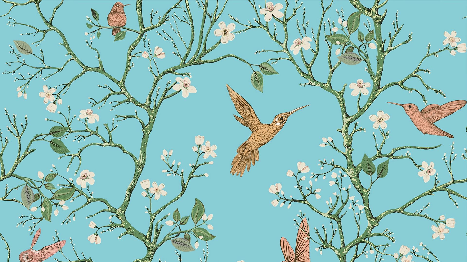 Download wallpaper 1920x1080 birds, branches, flowers, spring