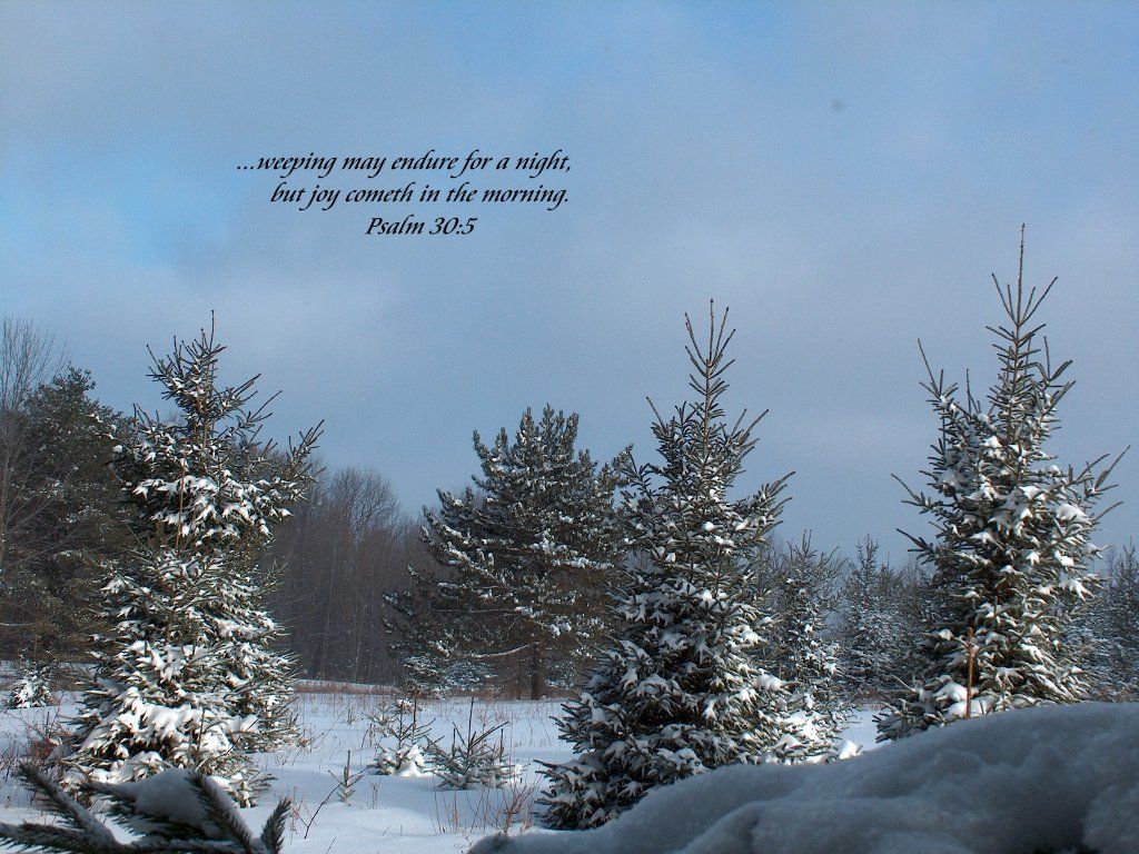 Winter Wallpaper With Bible Verses