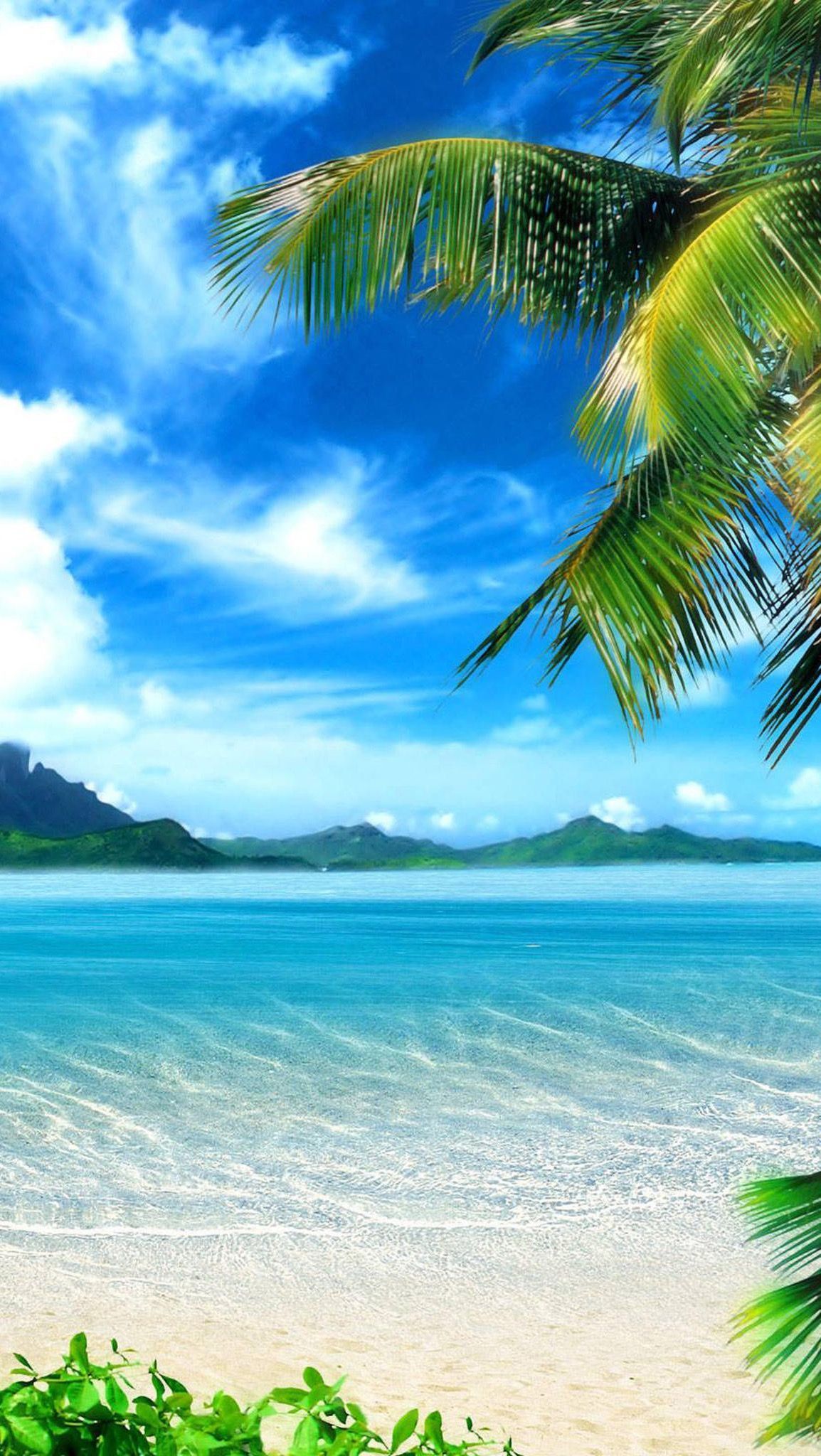 Summer And Tropical Wallpapers - Wallpaper Cave