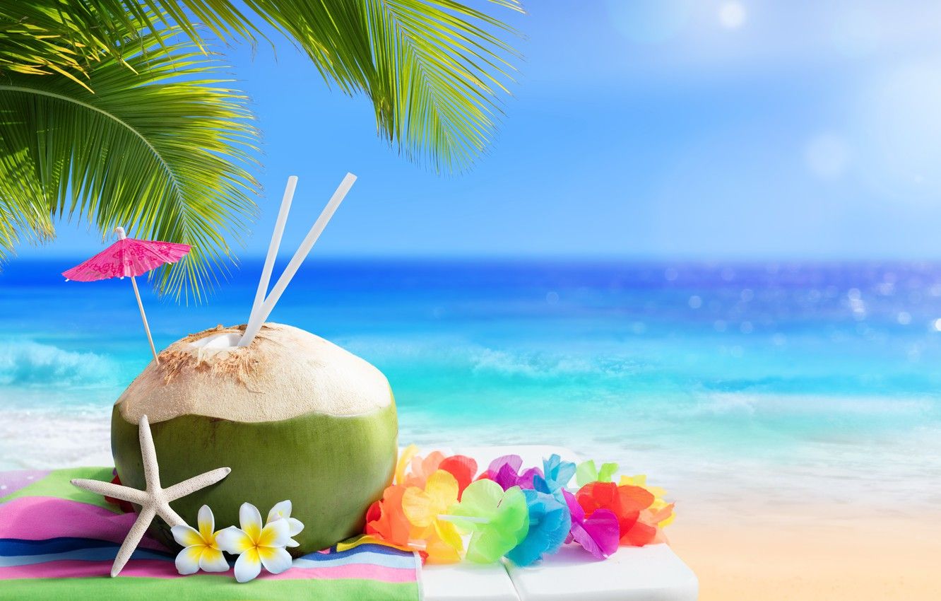 Wallpaper sand, sea, beach, summer, stay, summer, beach, sea, coconut, vacation, tropical, palm image for desktop, section пейзажи