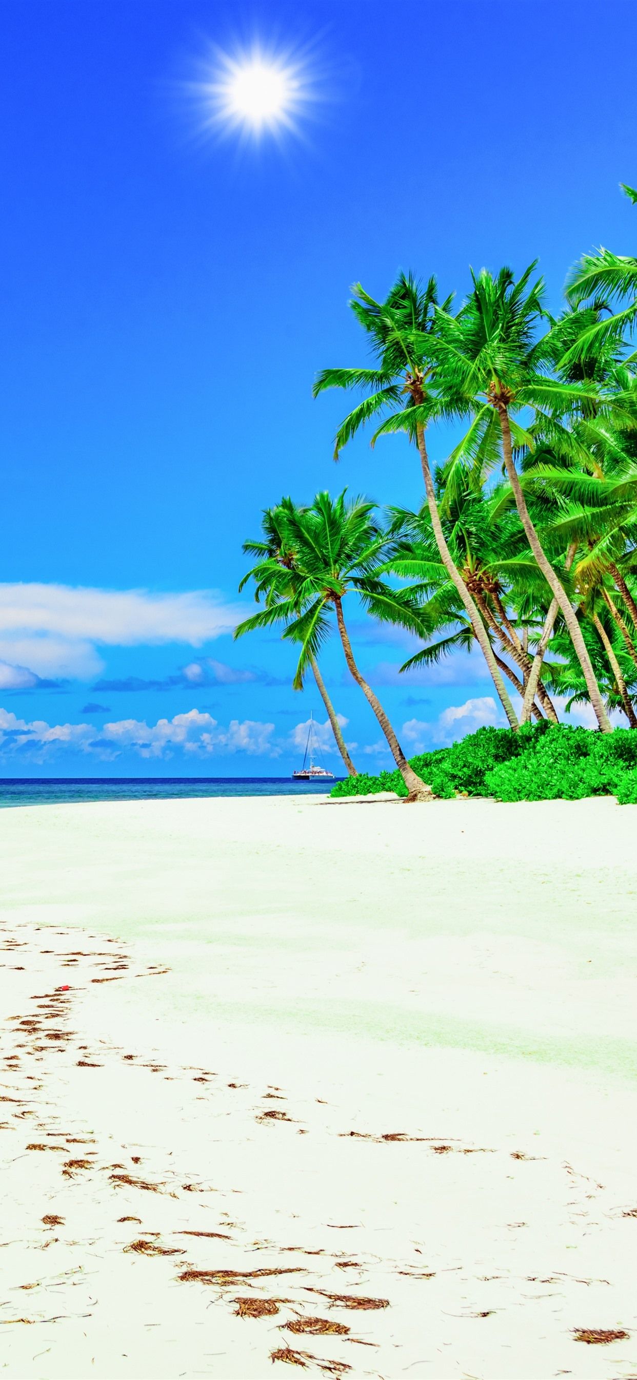 Wallpaper Beach, palm trees, blue sky, summer, tropical 5120x2880