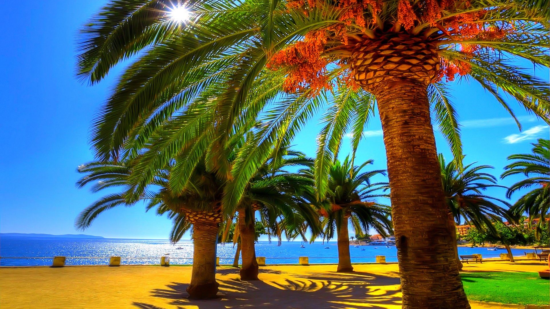 Tropical Coastline Sunshine Ocean Summer Sun Beautiful - Красота