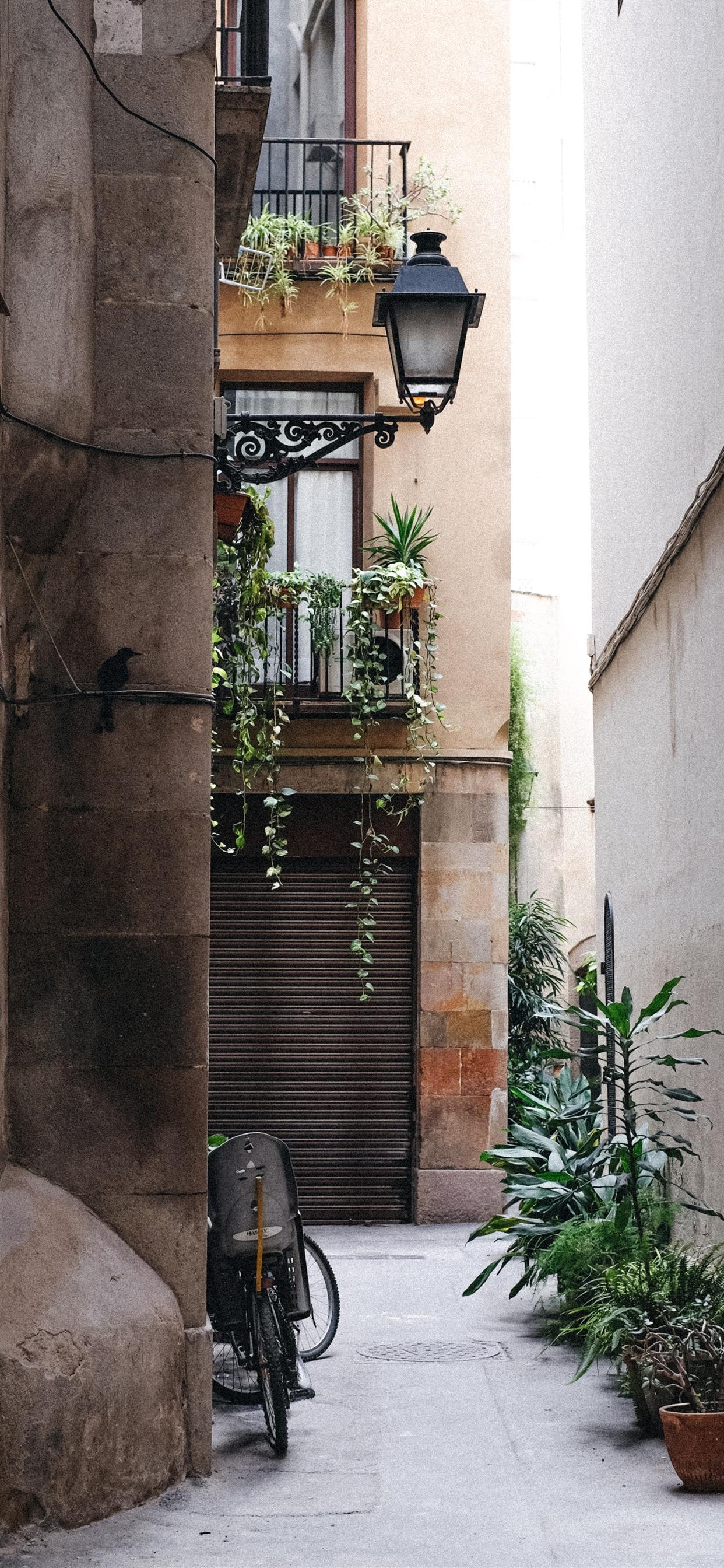 Barcelona Spain iPhone X Wallpaper Free Download