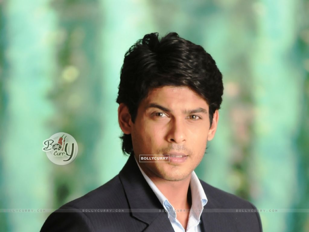 Wallpaper Shukla looking gorgeous size:1024x768