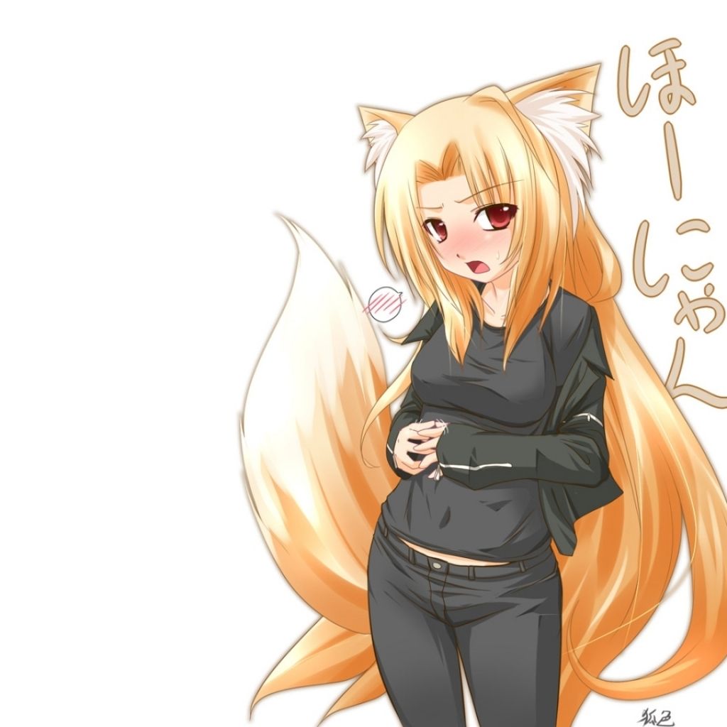 anime white fox girlx1024 nekomimi anime fox girls anime