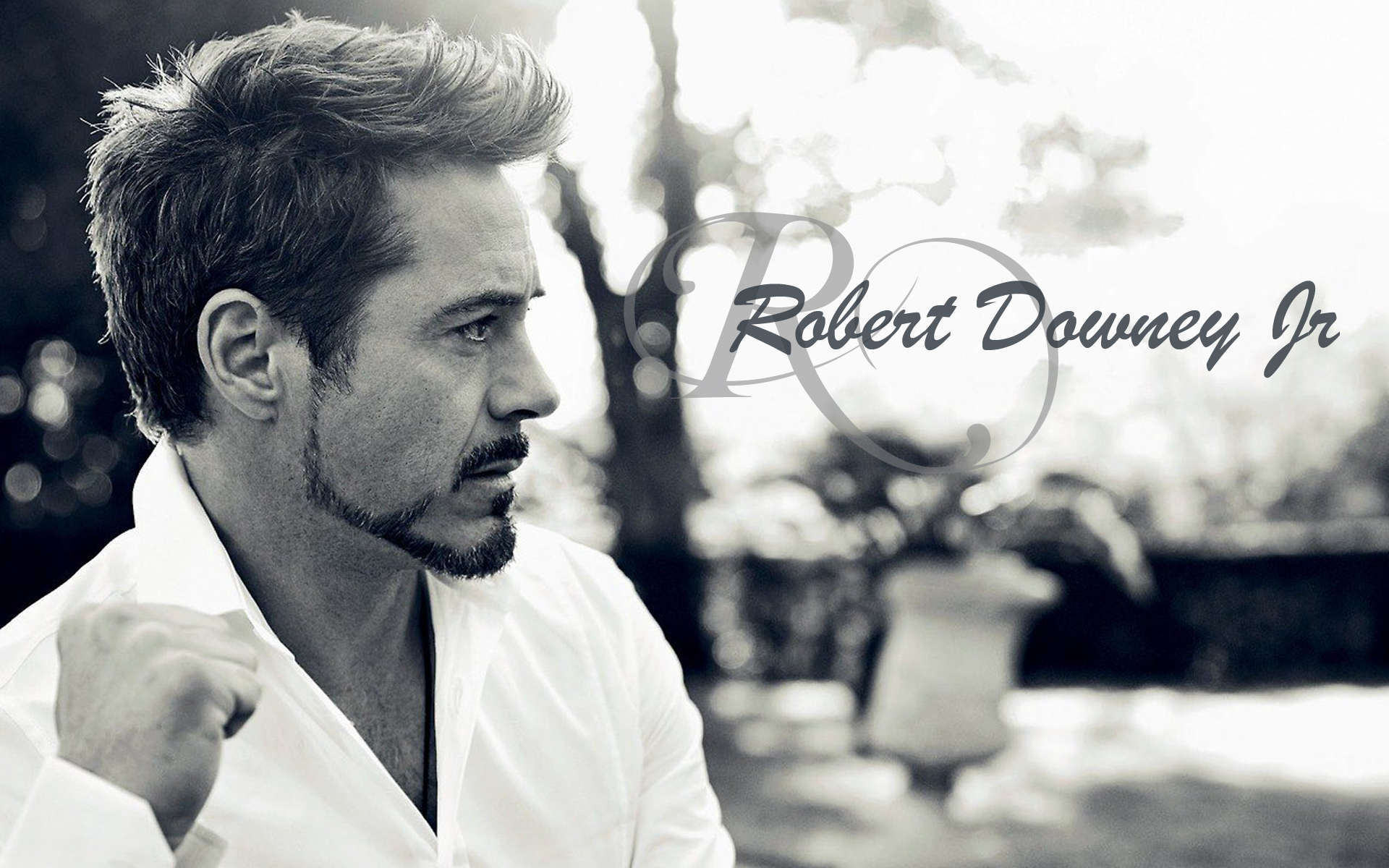 Robert Downey Jr Wallpaper Free