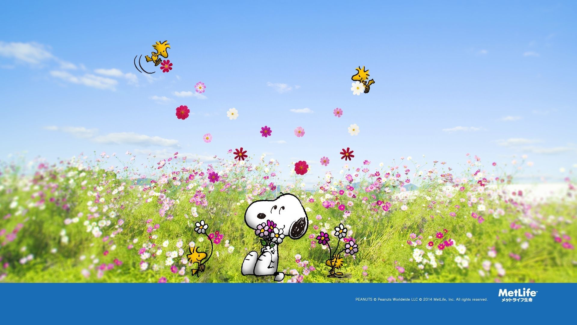 Spring Snoopy Wallpapers Wallpaper Cave
