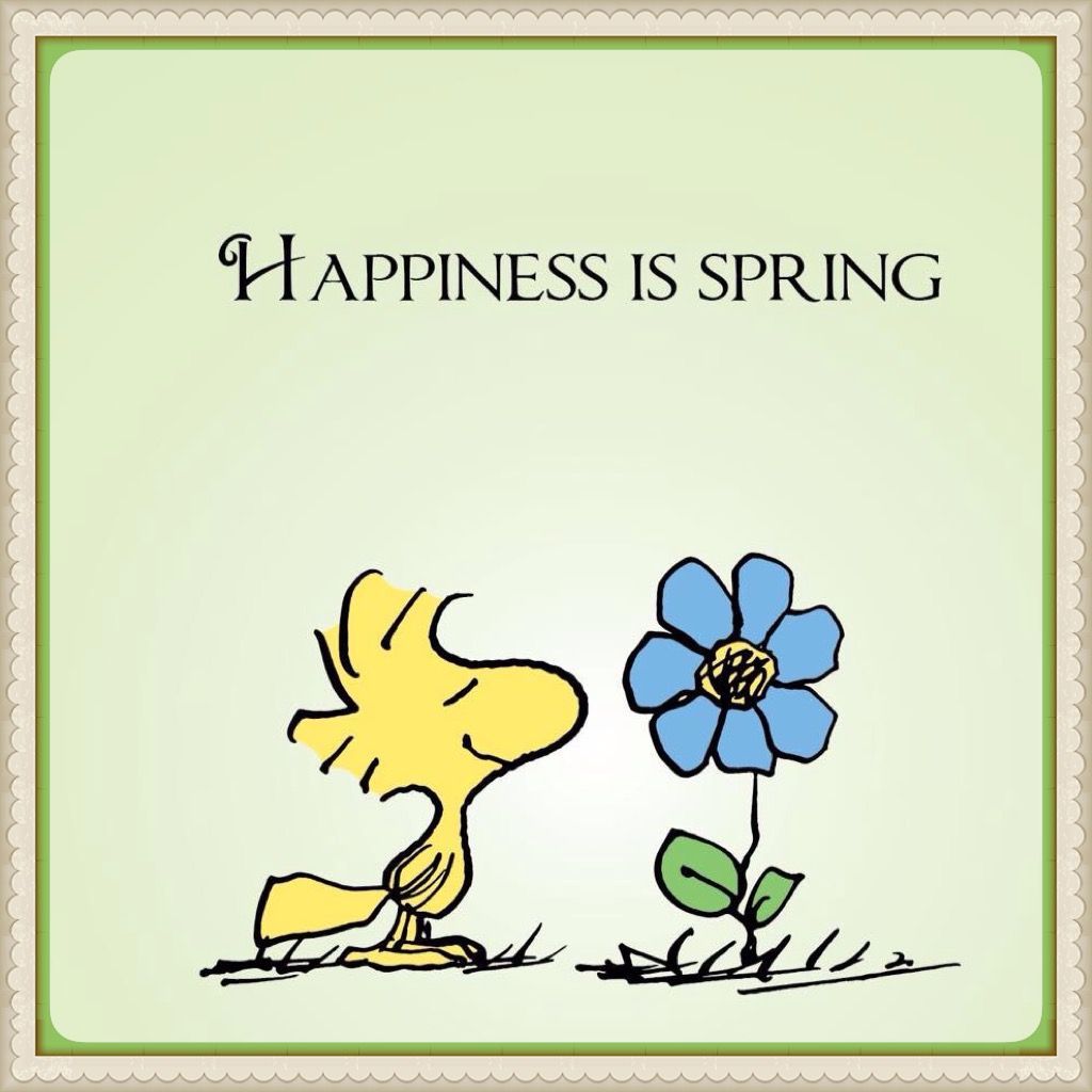 Happiness is Spring